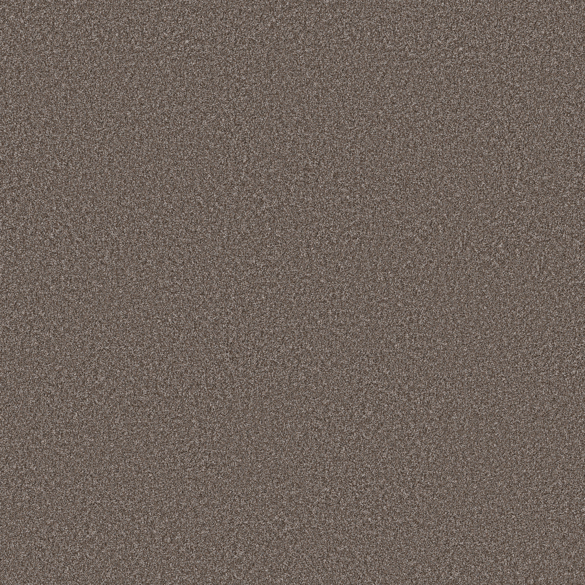 Fletcher Hall-French Roast-HGP82_00751