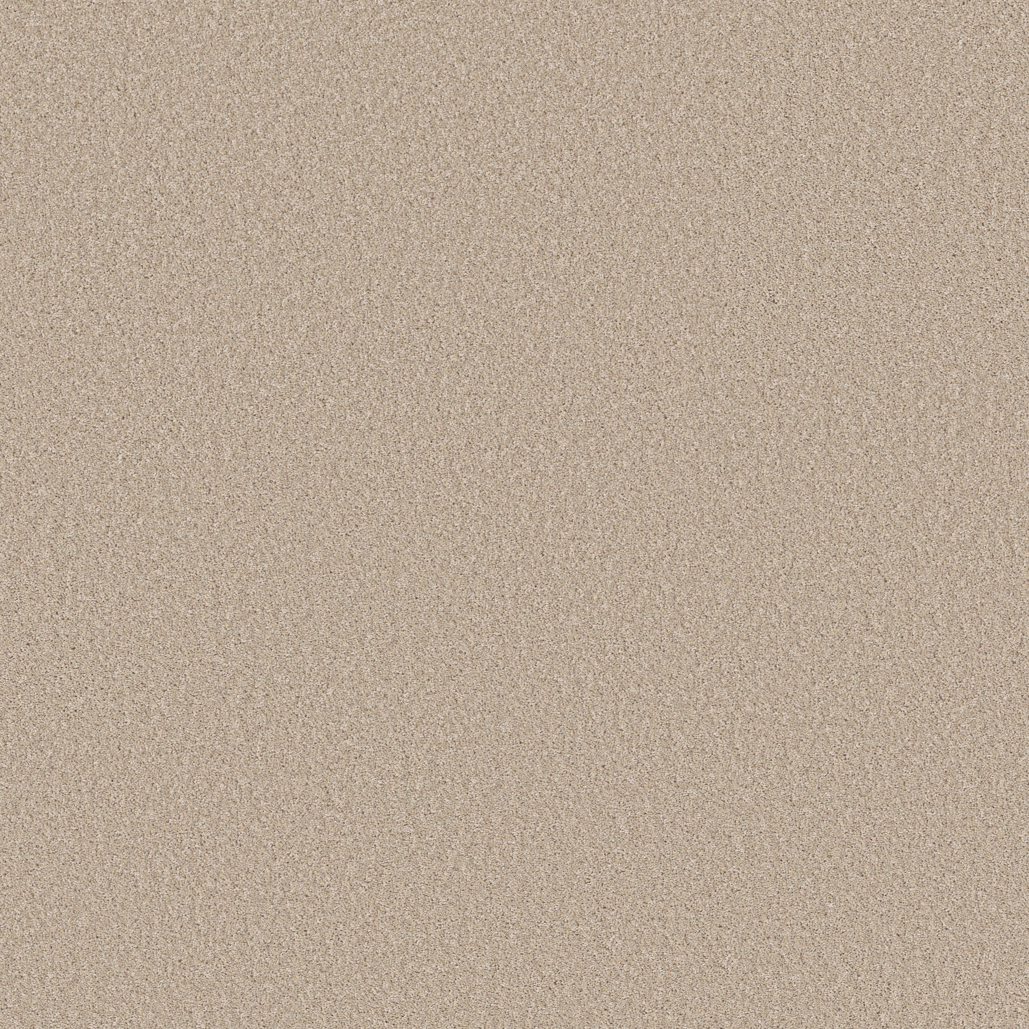 Manor House-Dunes-HGP83_00140