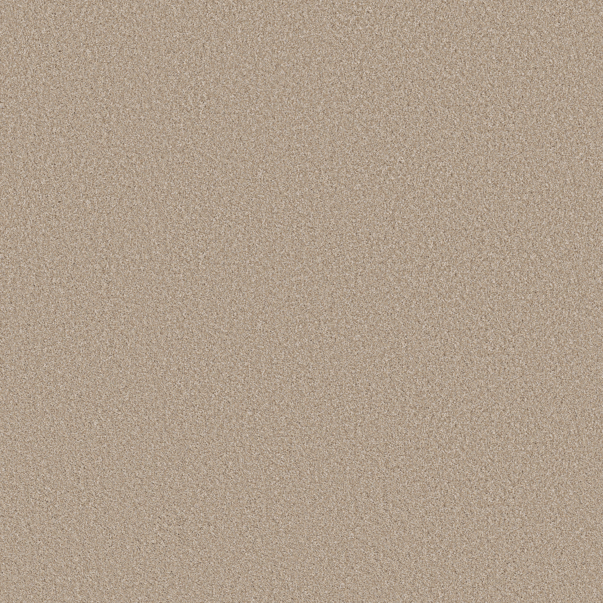 Manor House-Thatch-HGP83_00155