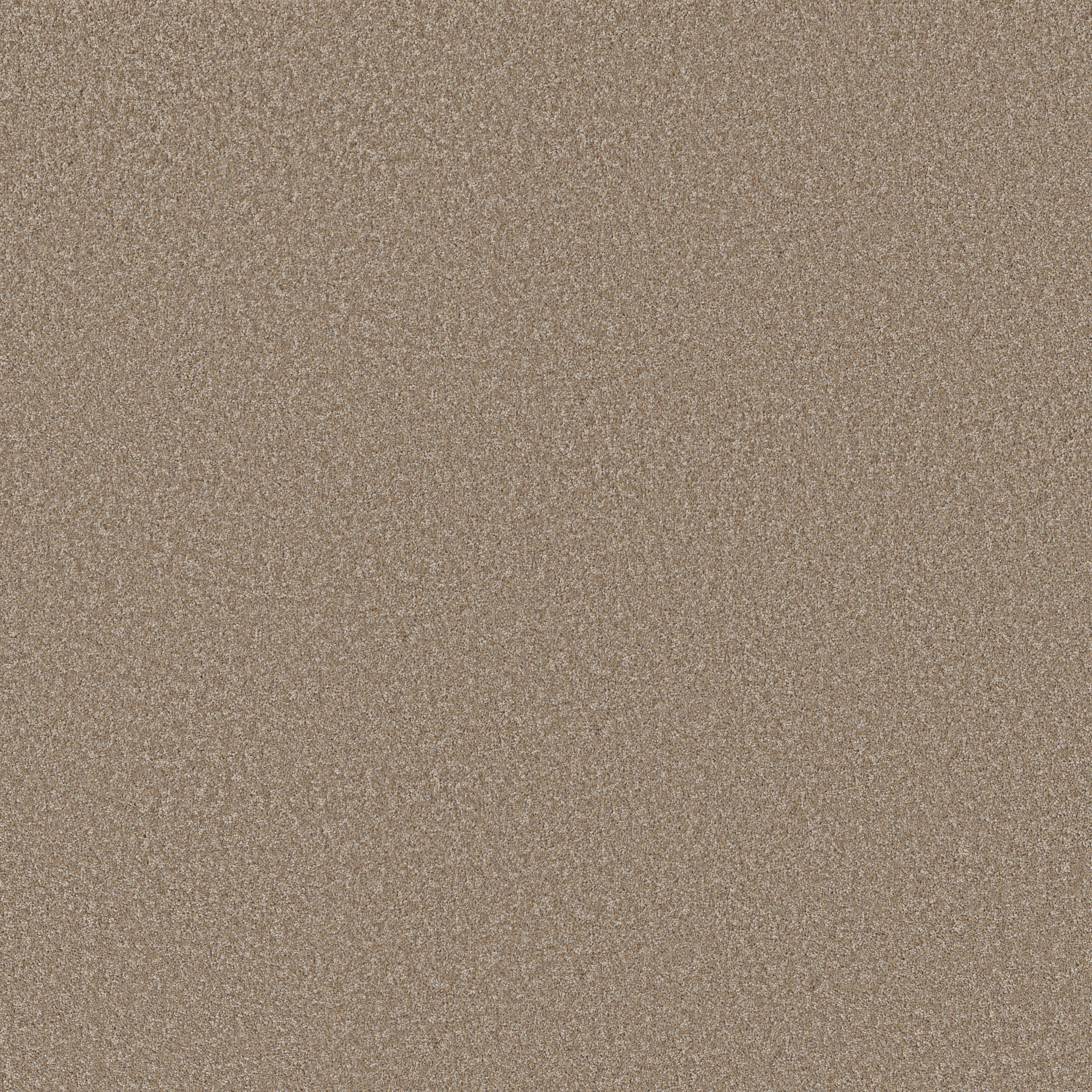 Manor House-Studio-HGP83_00250