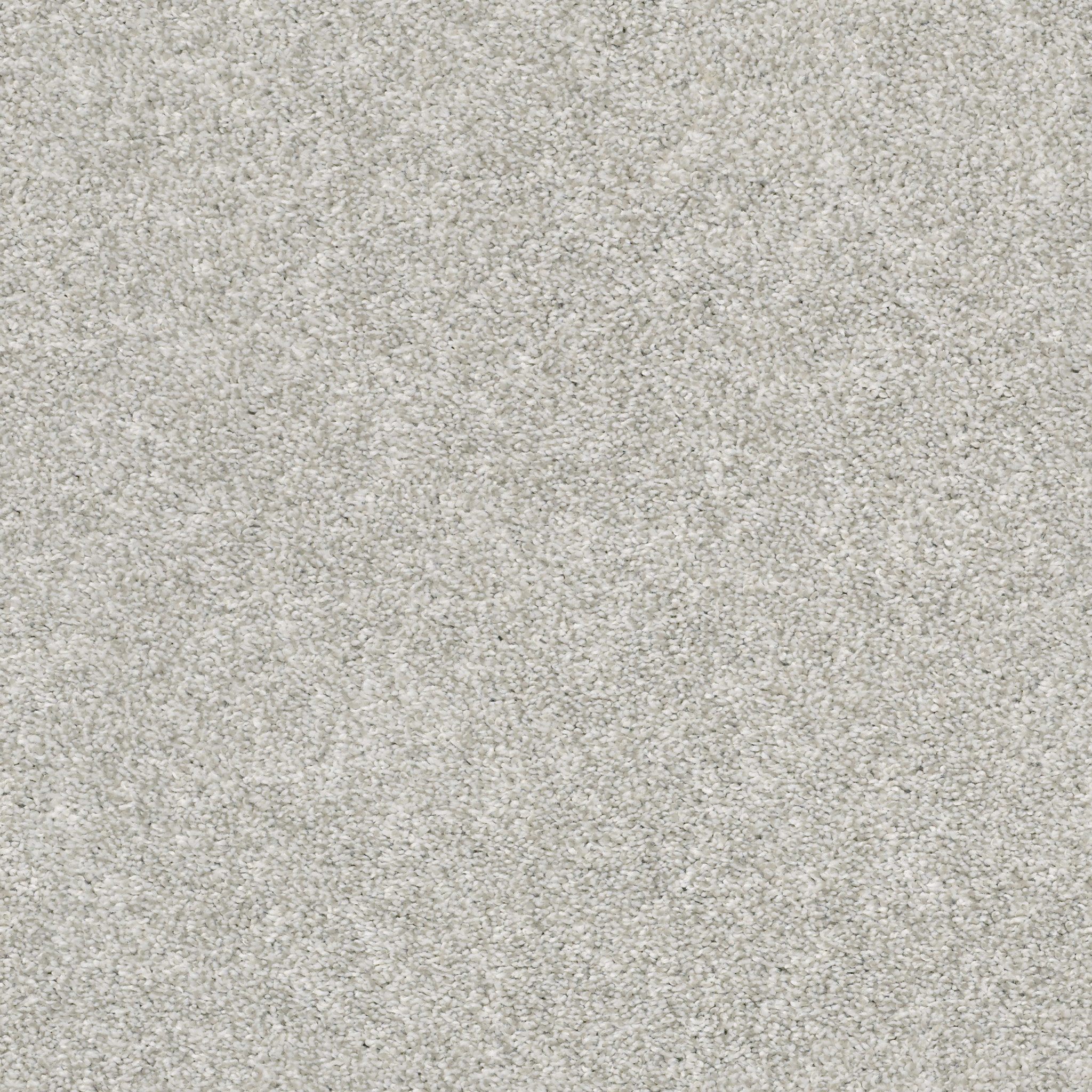 Manor House - Dove - HGP83_00500