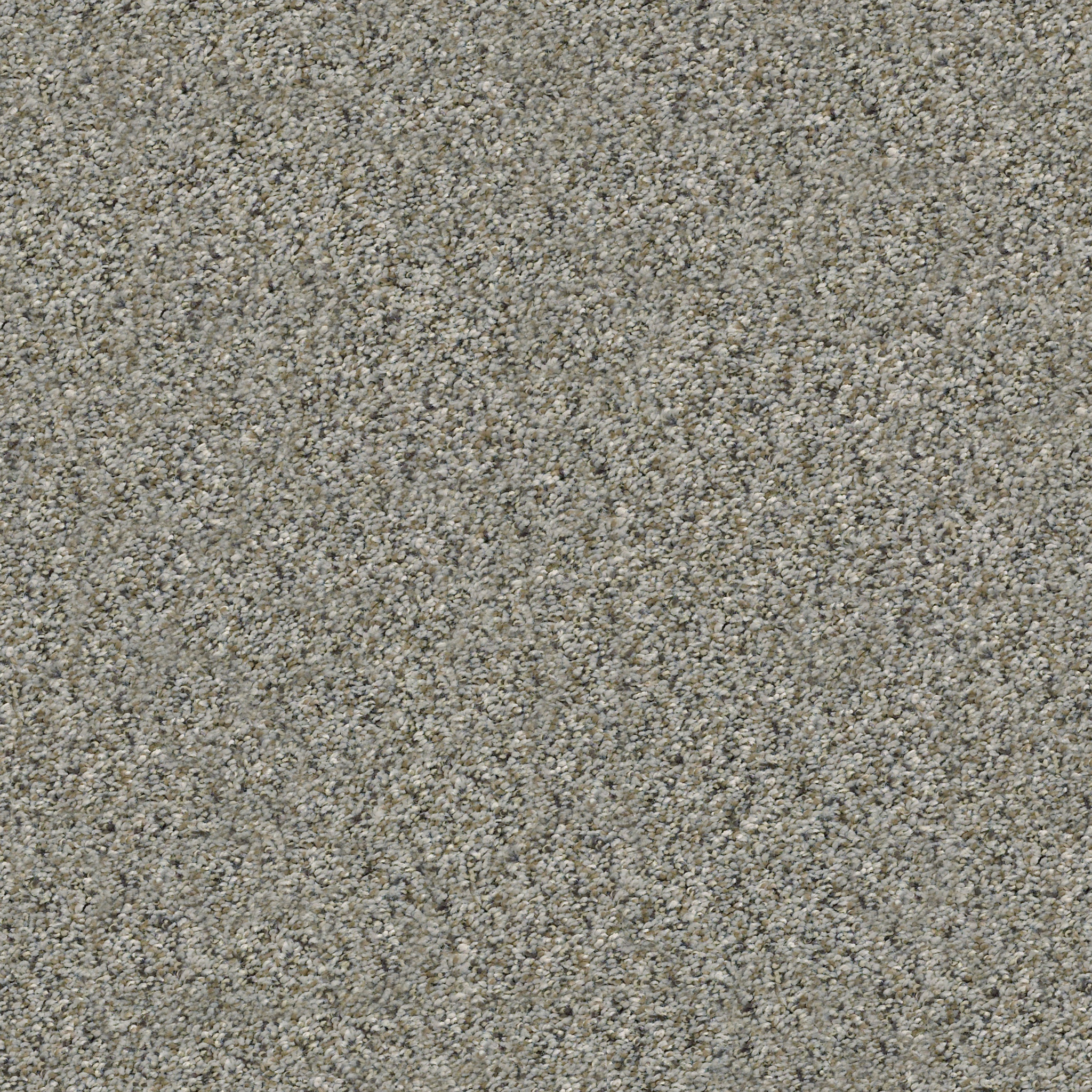 Manor House - Rhino - HGP83_00504