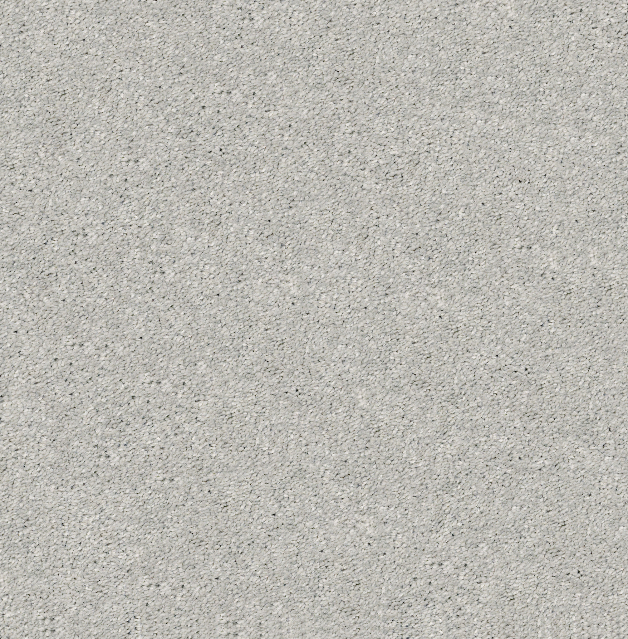 Manor House - Shadow - HGP83_00522