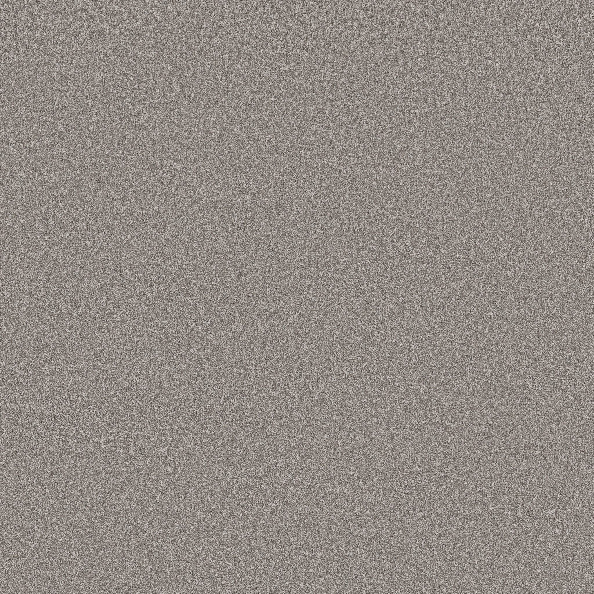 Manor House-Castlewall-HGP83_00540