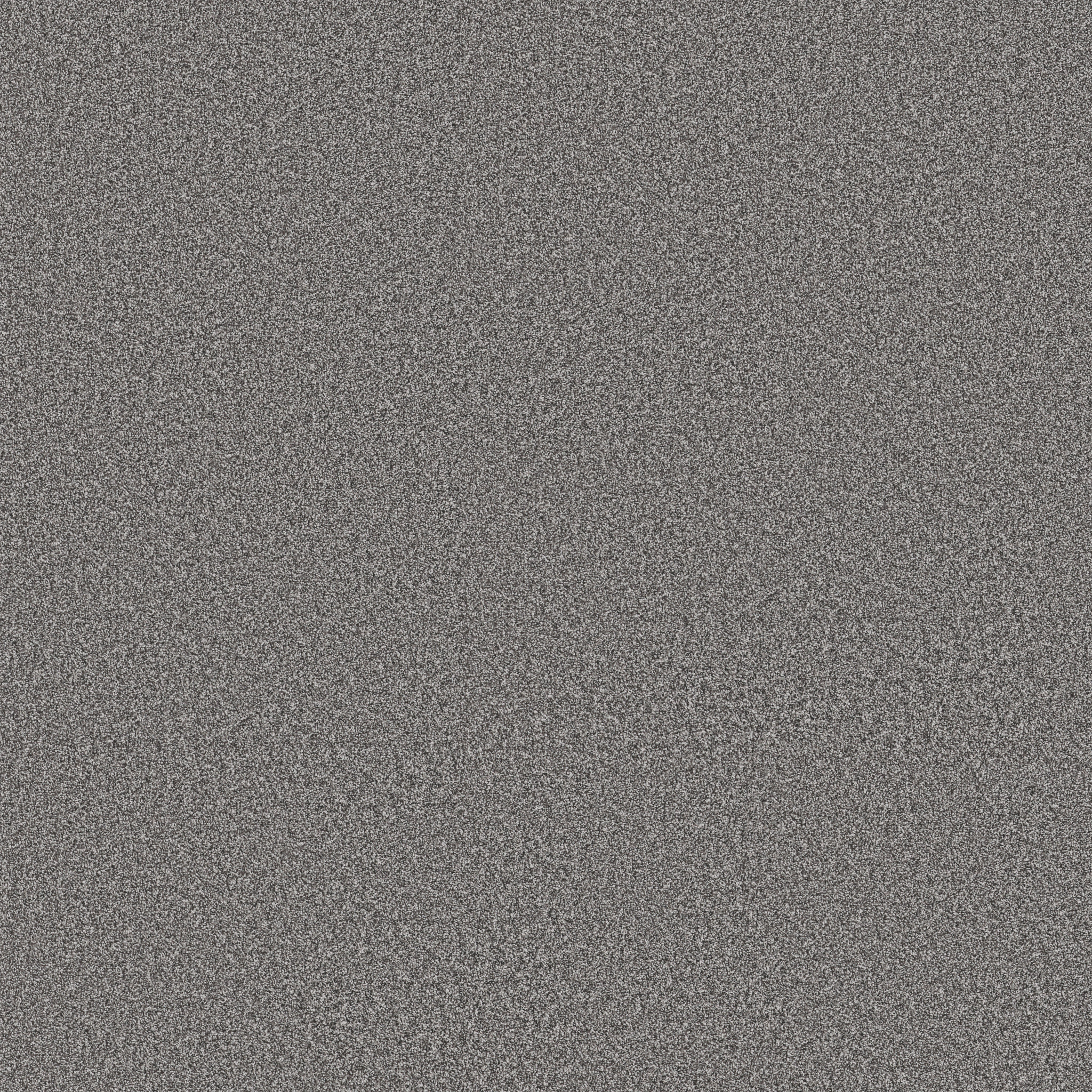 Manor House-Cannon-HGP83_00542