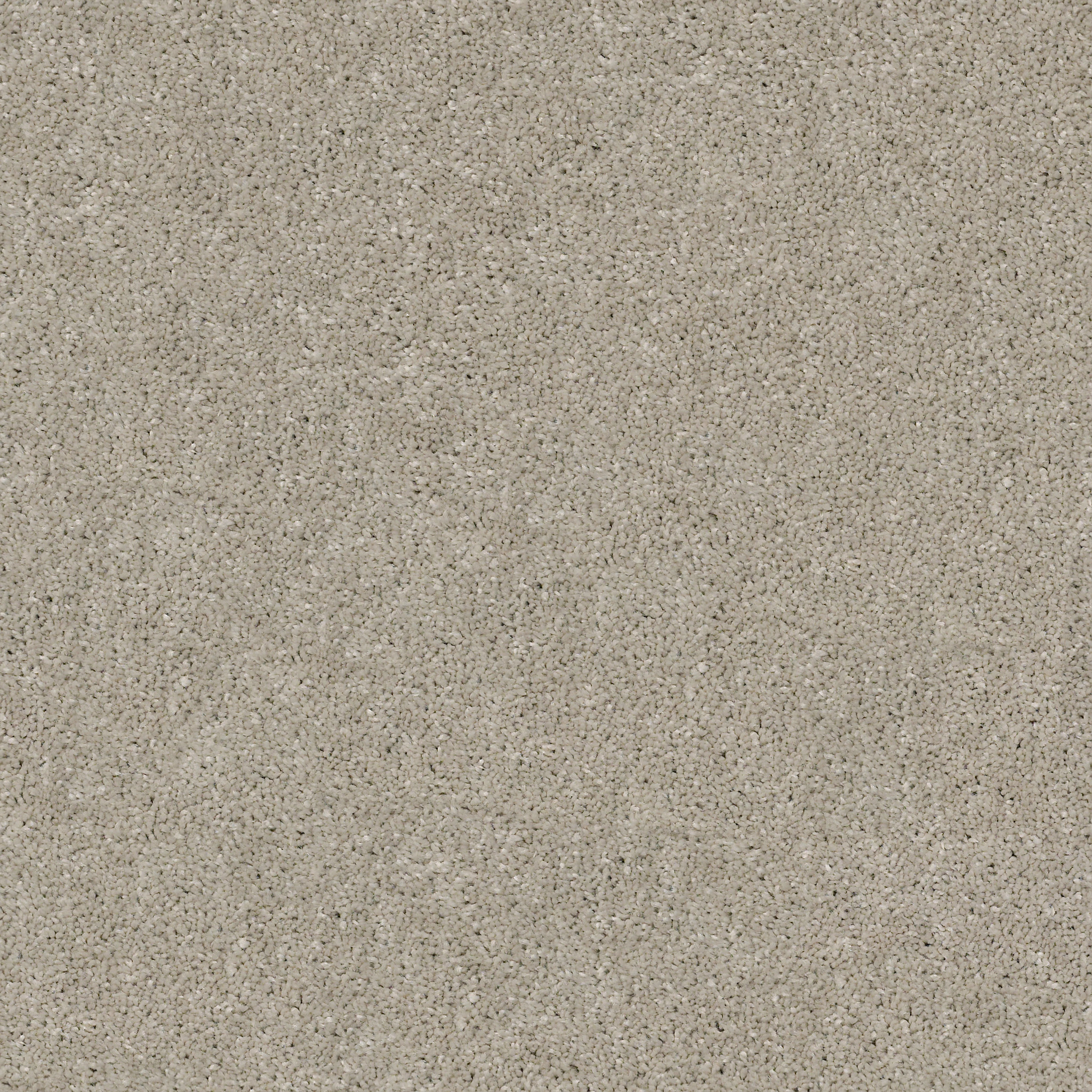 Manor House - Bird House - HGP83_00720