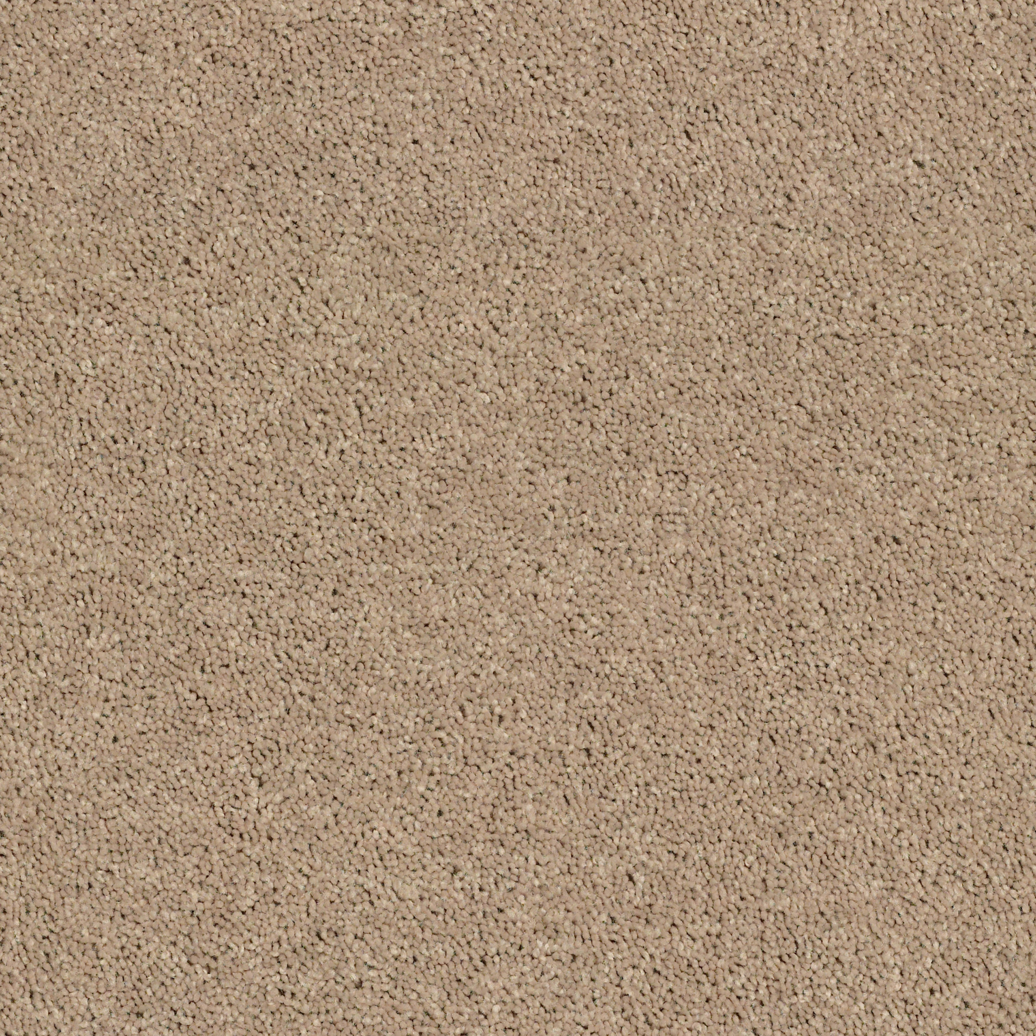 Collier Peak-Camel-HGR01_00107