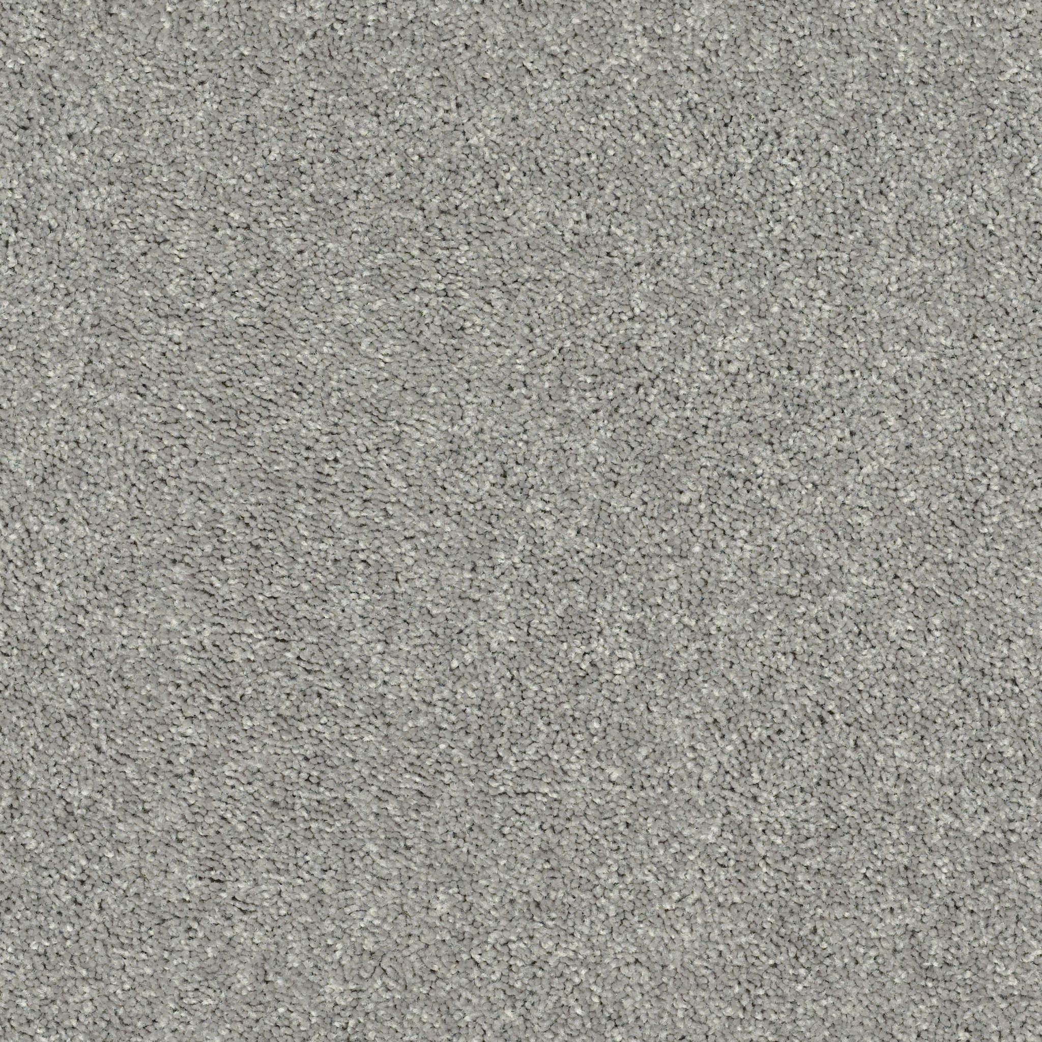 Collier Peak-Dolphin-HGR01_00521