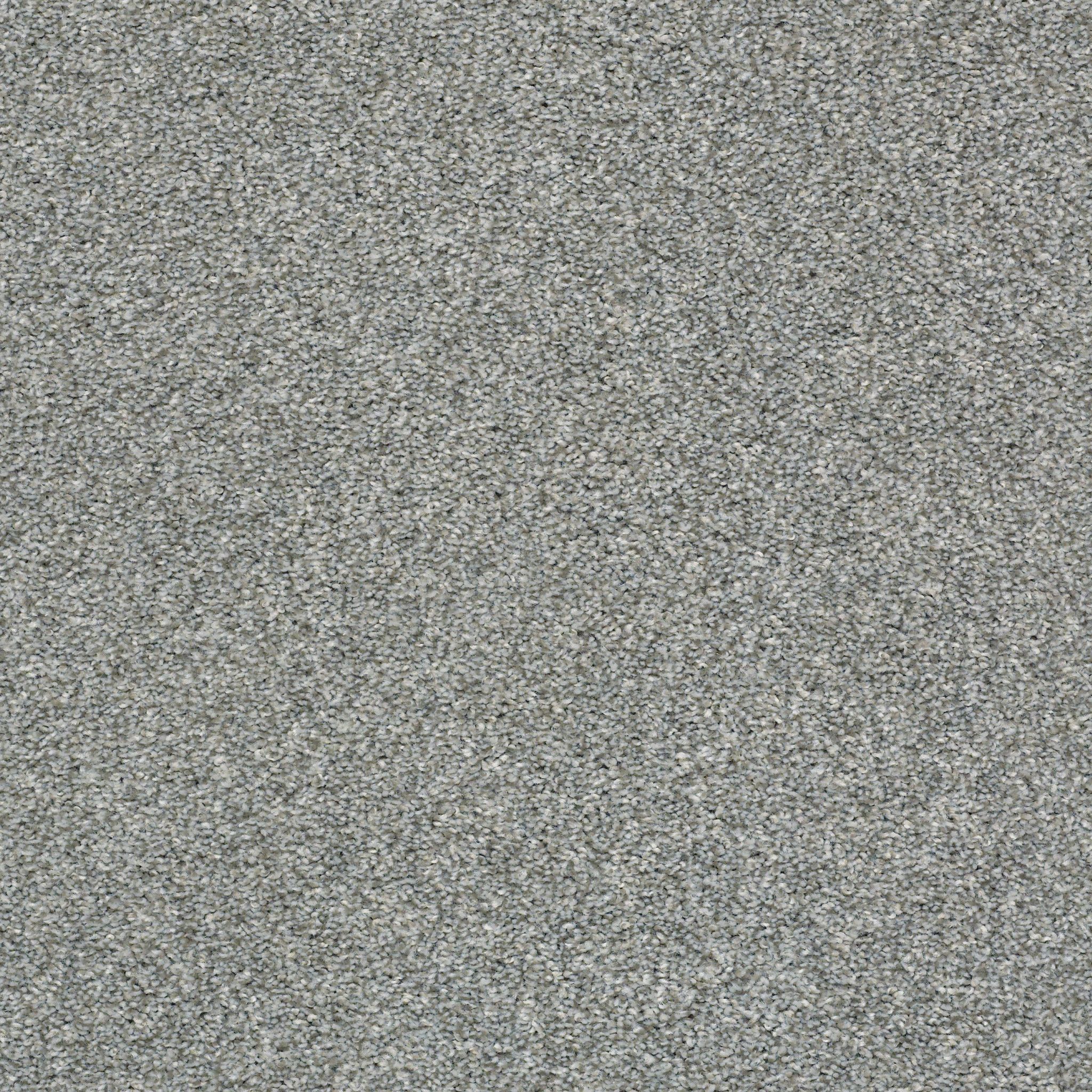 Harmony Ridge HGR02 00542 | Shaw Builder Flooring