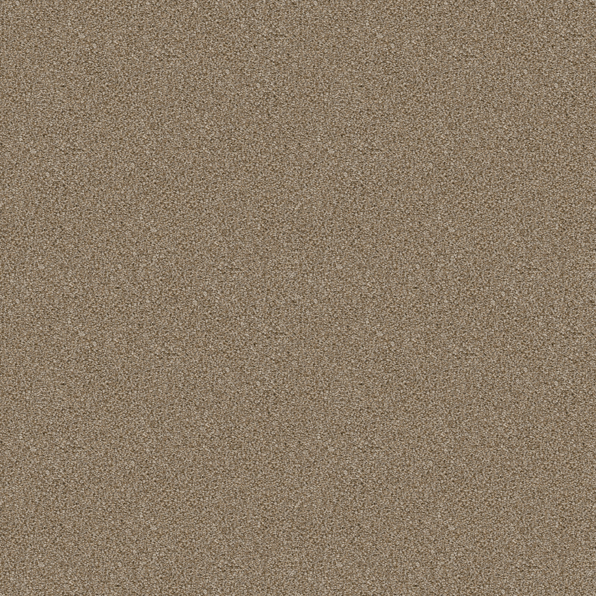 midway_plaza dried_clay carpets hgr0500137 Shaw Builder Flooring