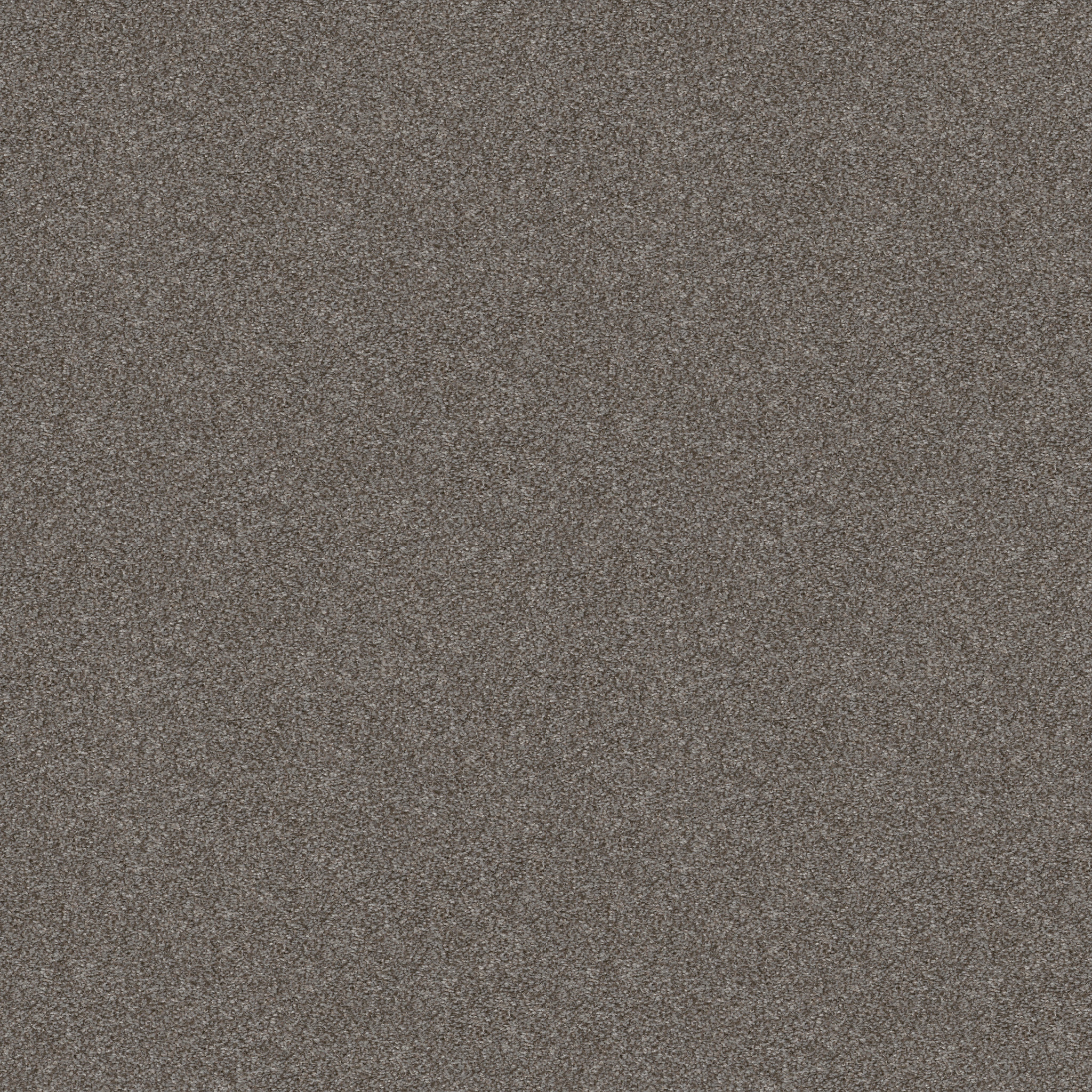 Midway Plaza HGR05 00541 | Shaw Builder Flooring