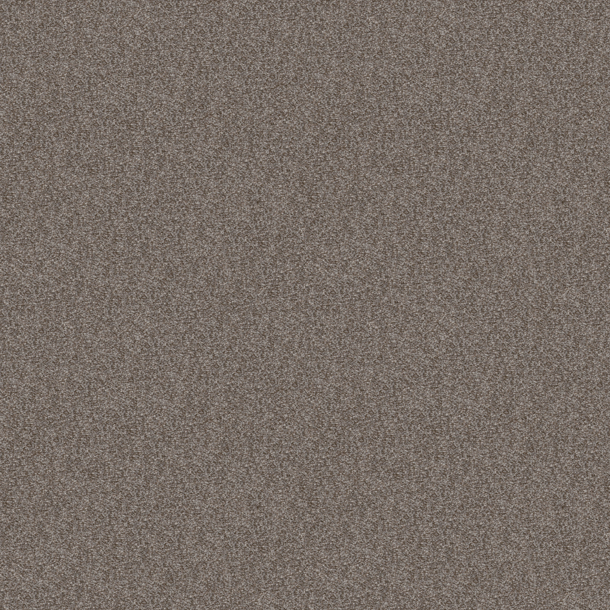 midway_plaza walking_trail carpets hgr0500745 Shaw Builder