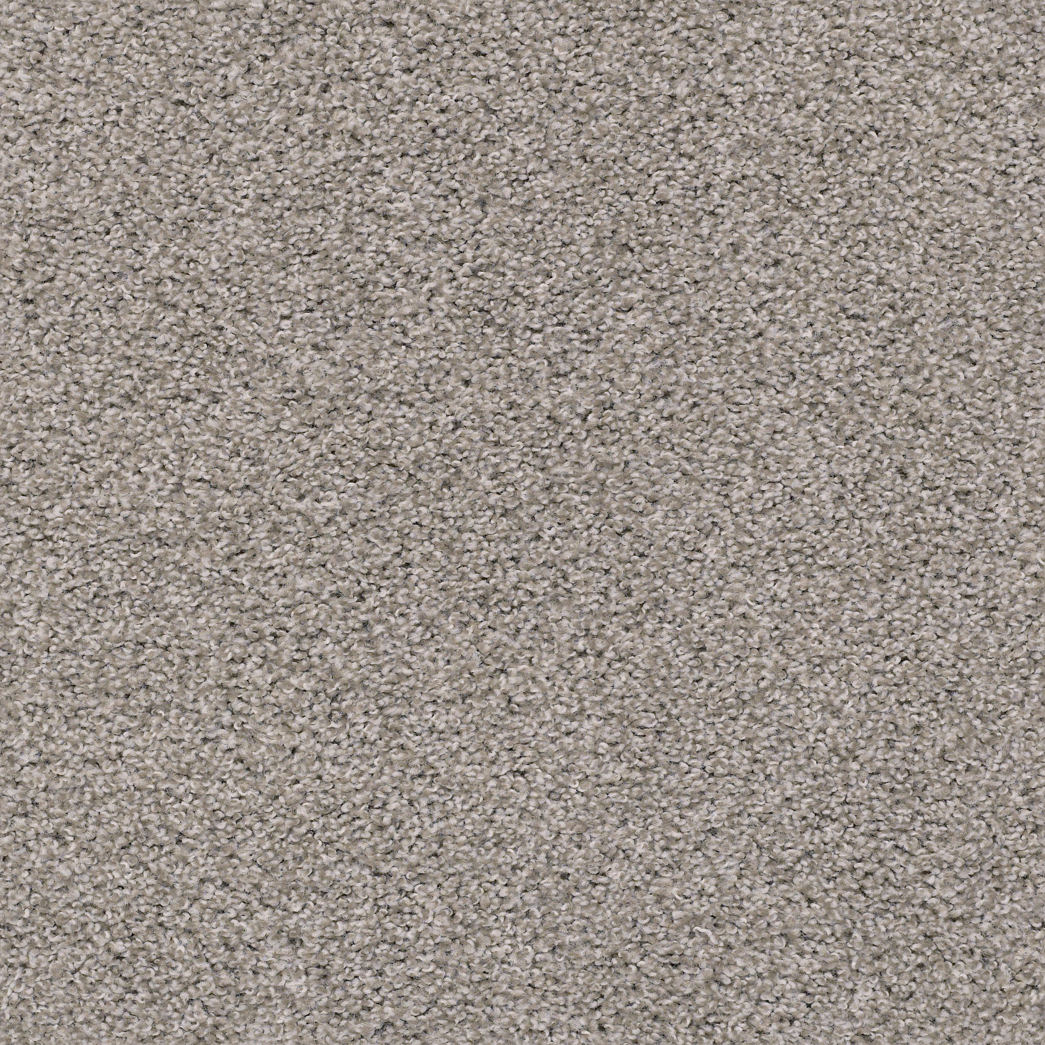 Anchor Bay-Great Greige-HGR07_00114