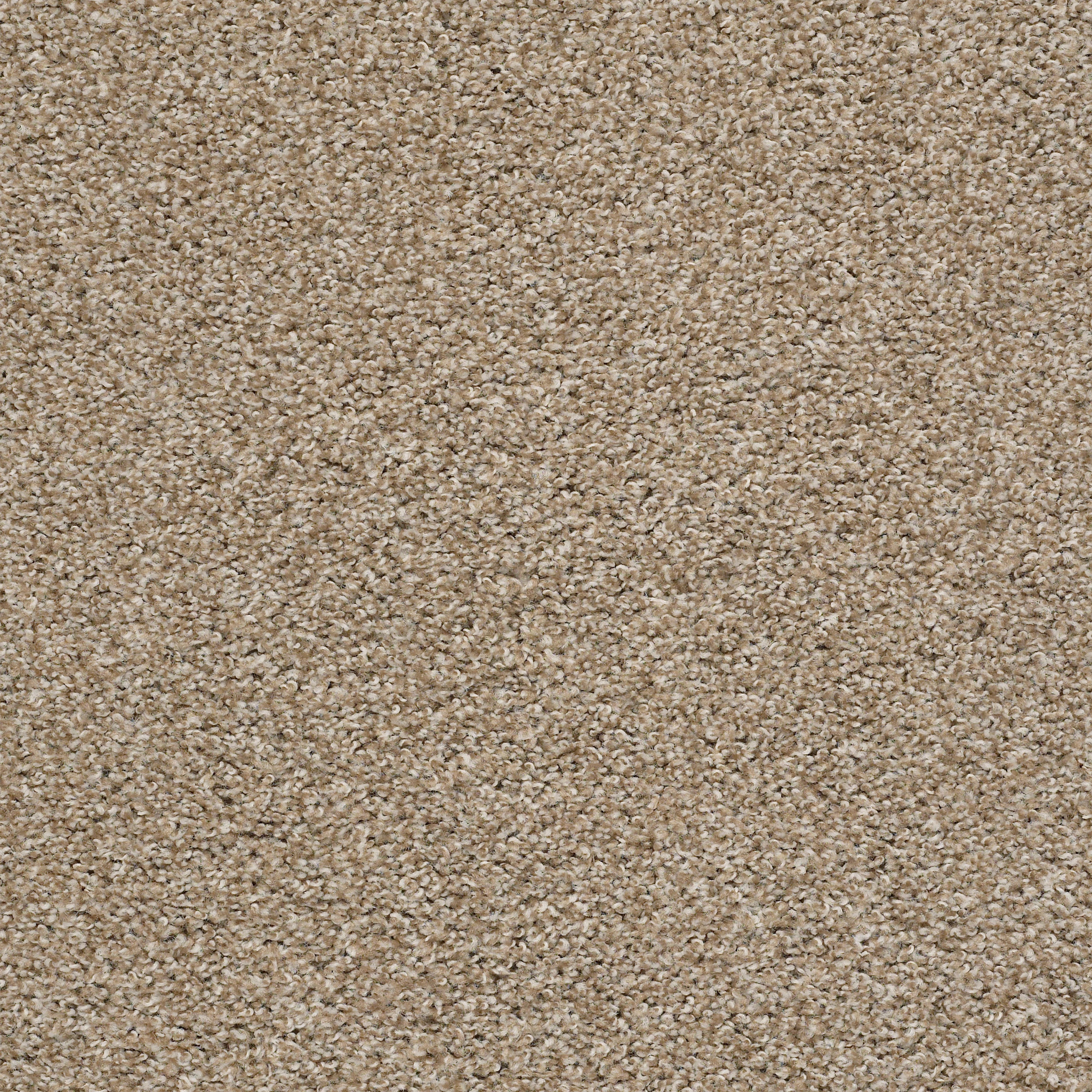 Anchor Bay - Artisan - HGR07_00720