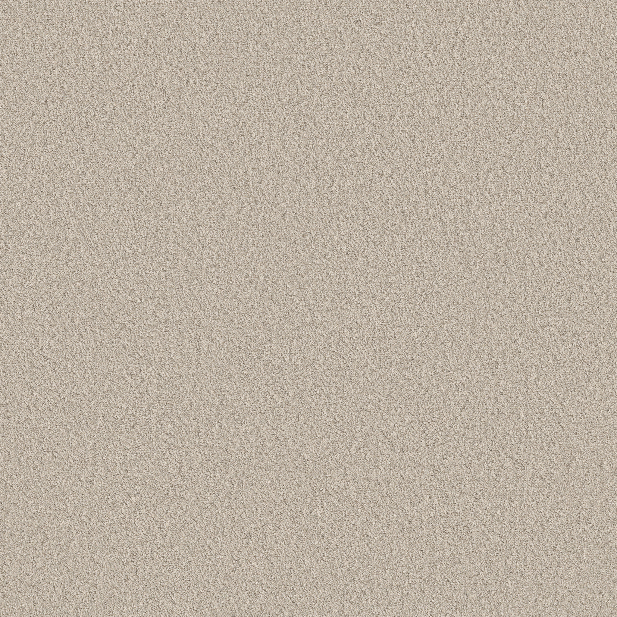 Bayside Cove - Canvas - HGR09_00103