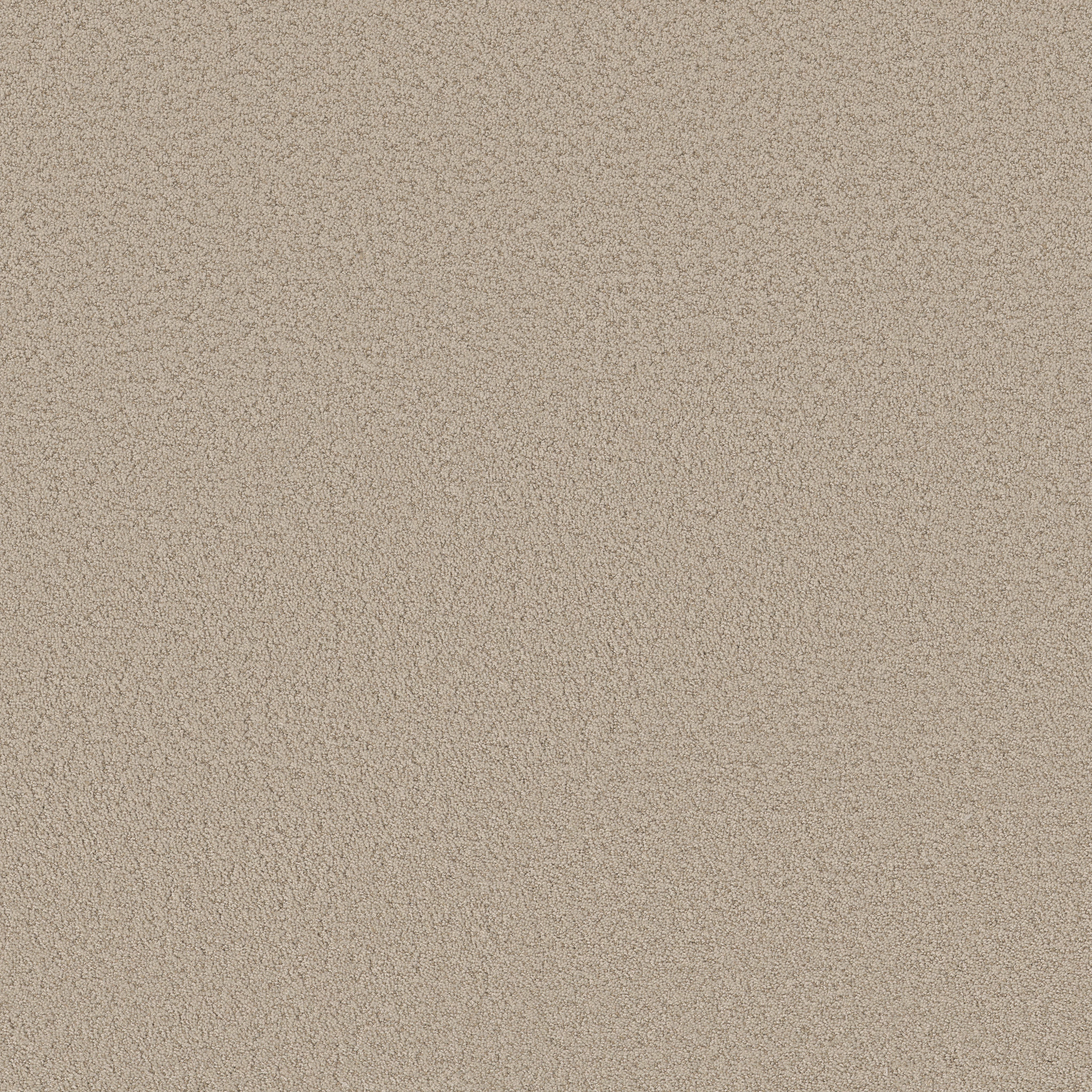 Bayside Cove - Tiramisu - HGR09_00104