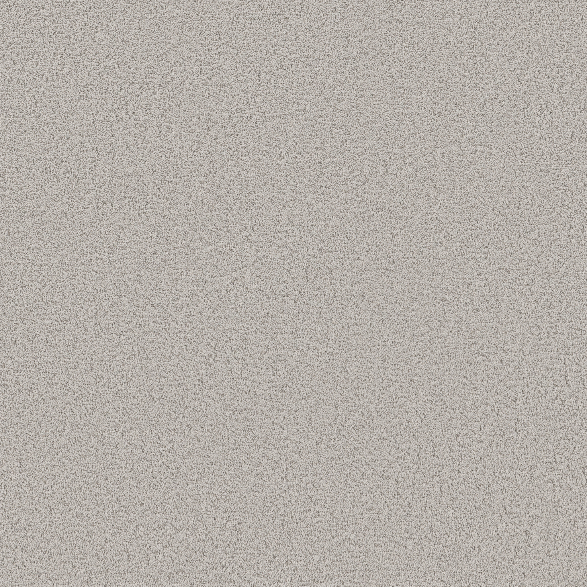 Bayside Cove - Haze - HGR09_00501