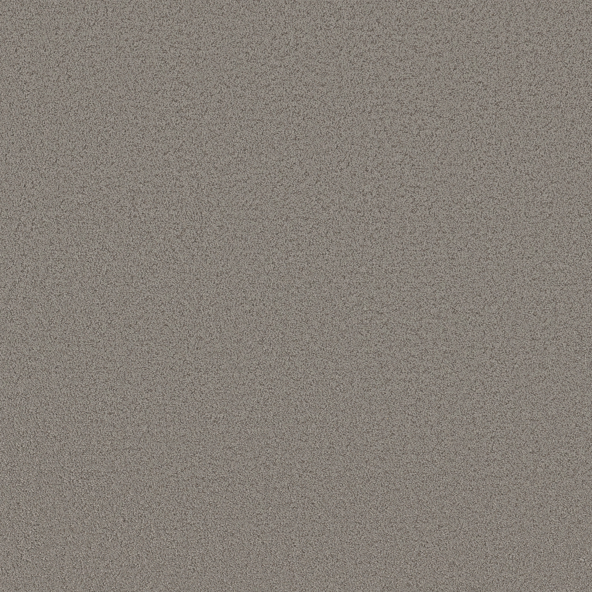 Bayside Cove - Dark Slate - HGR09_00503