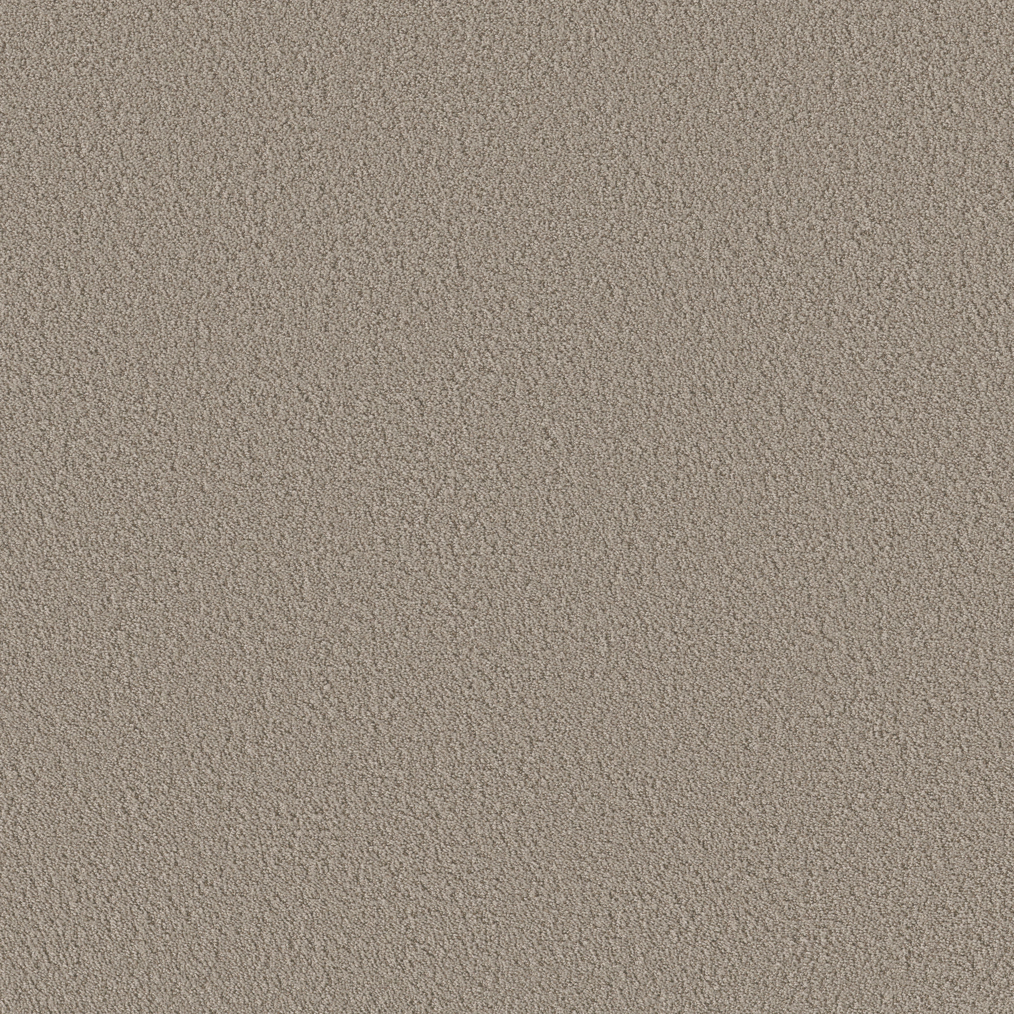 Bayside Cove - Artisan Taupe - HGR09_00700