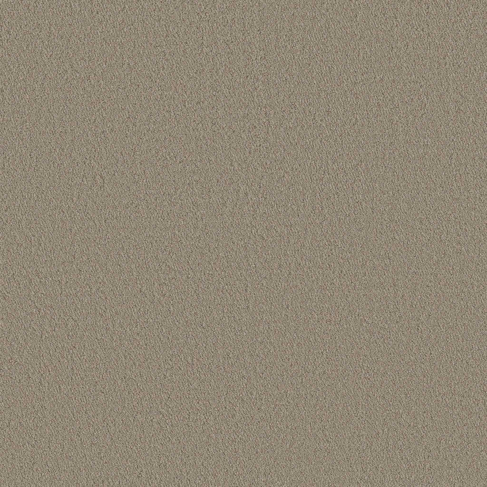 Bayside Cove - Burnished Clay - HGR09_00701