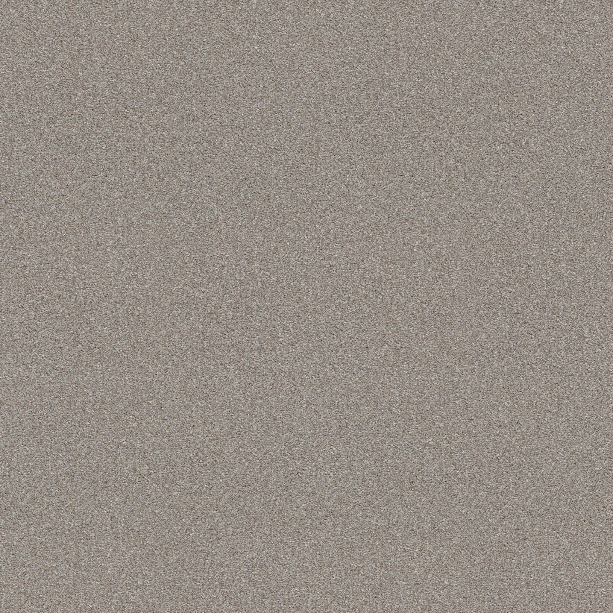 Soft Fleece