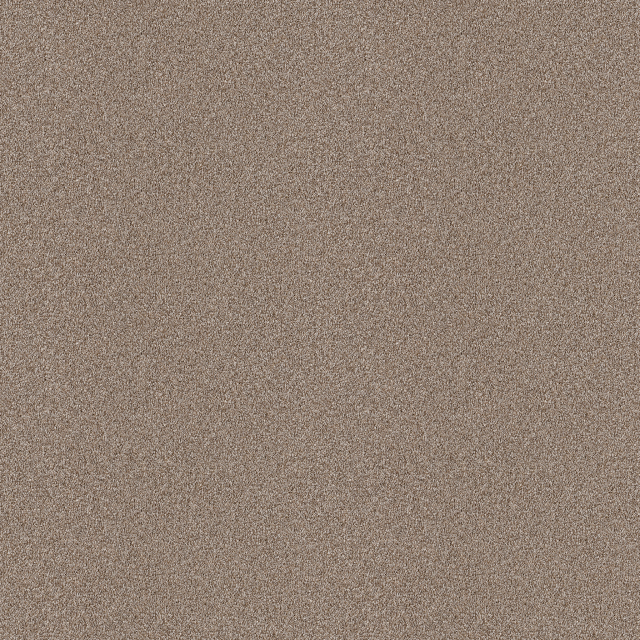 Grecian Tan