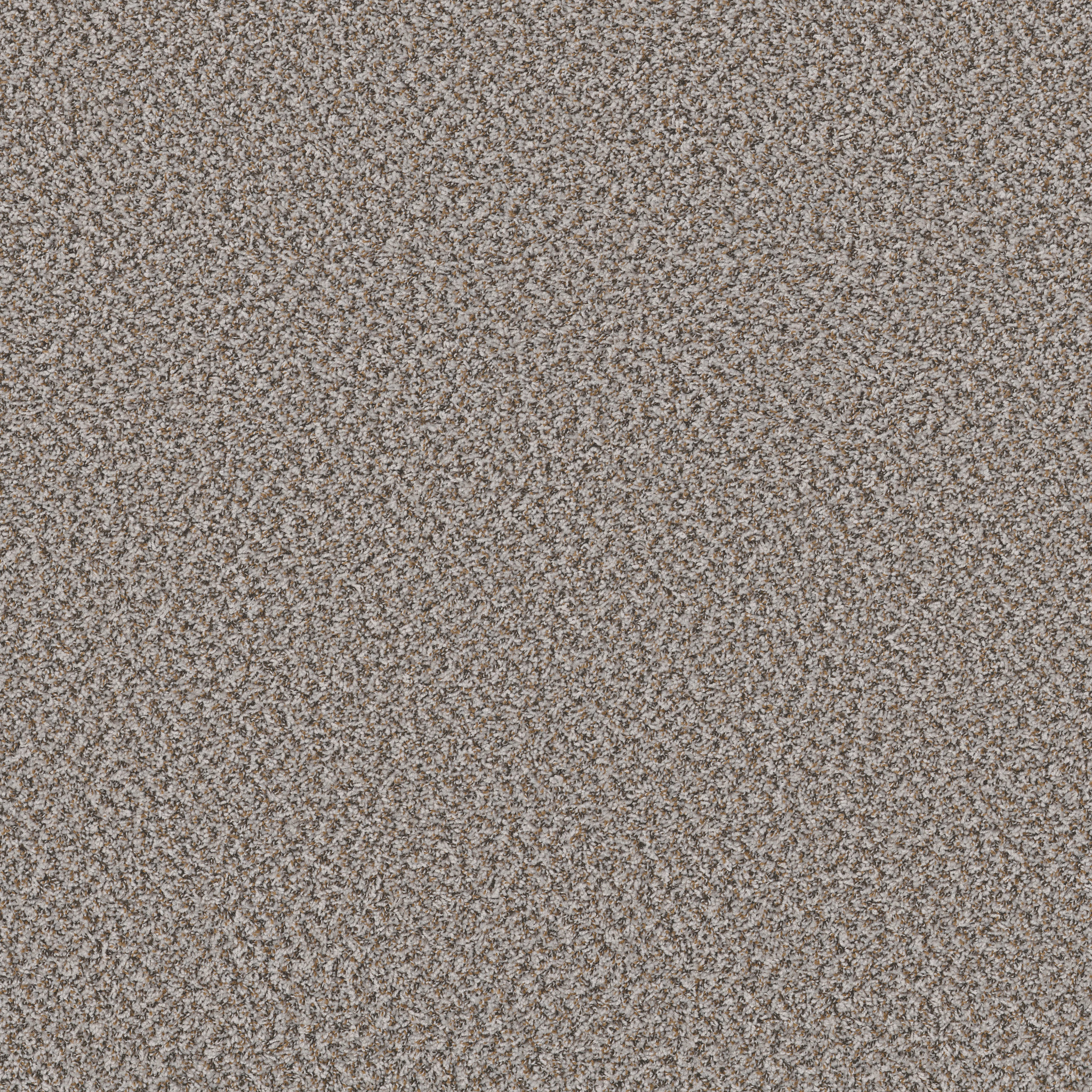 Clam Shell