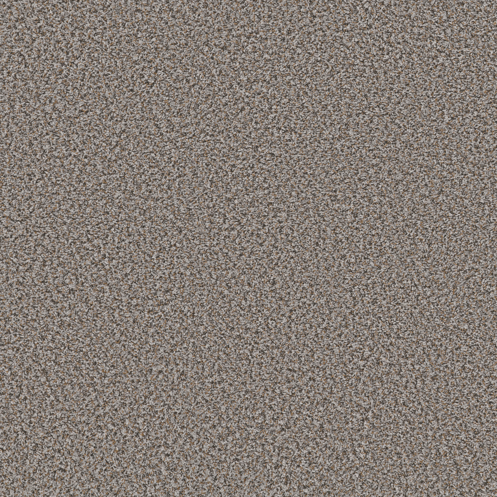 Fossil