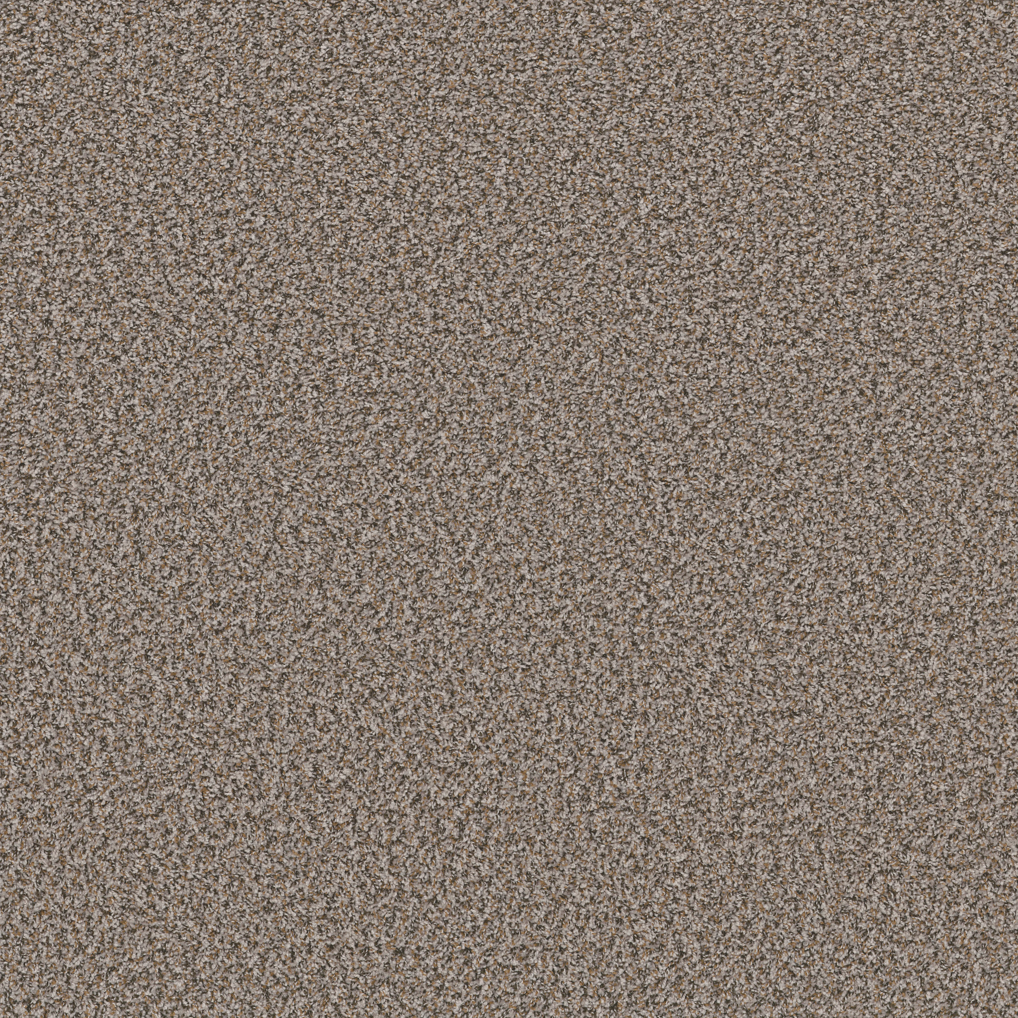 Sweet Taupe