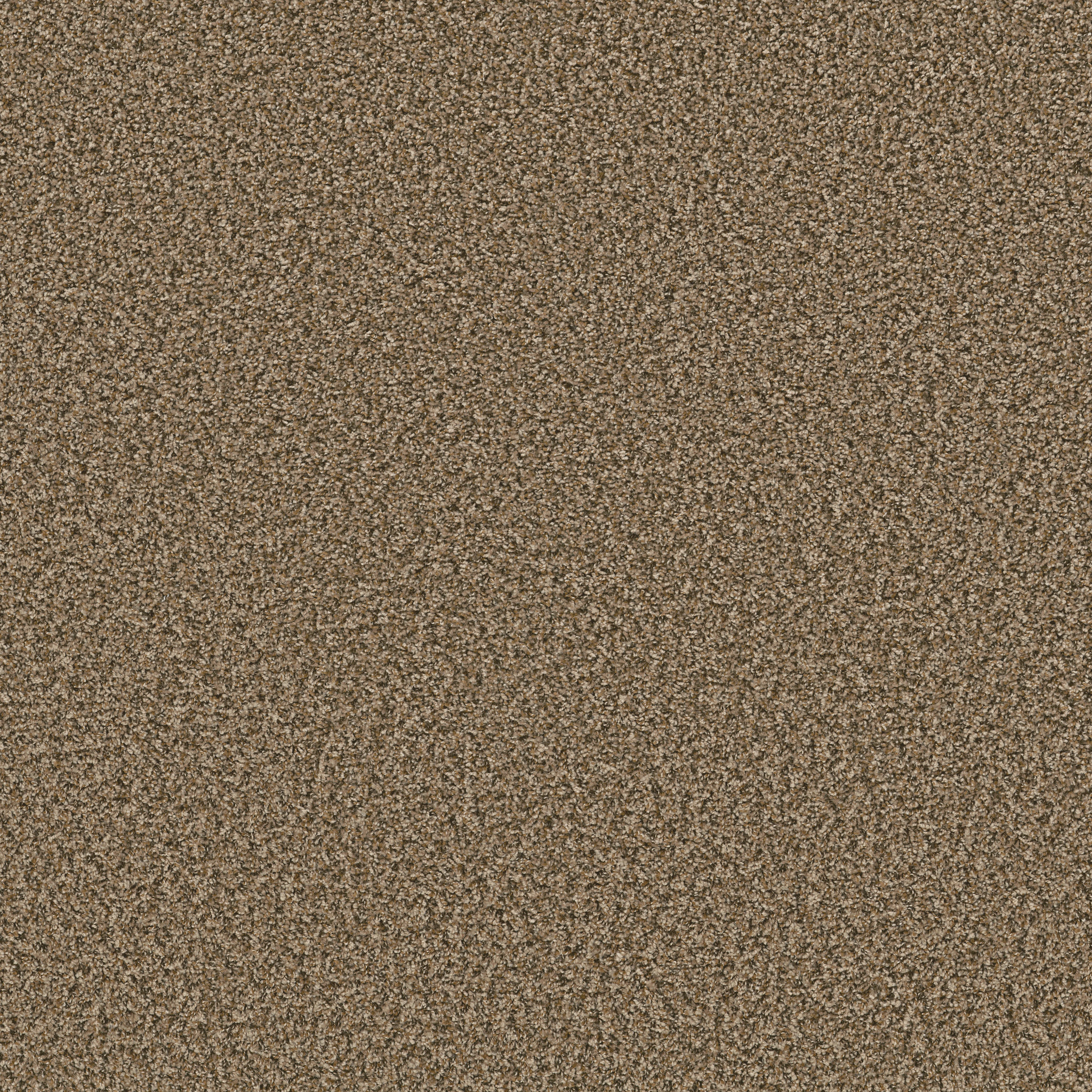 Desert