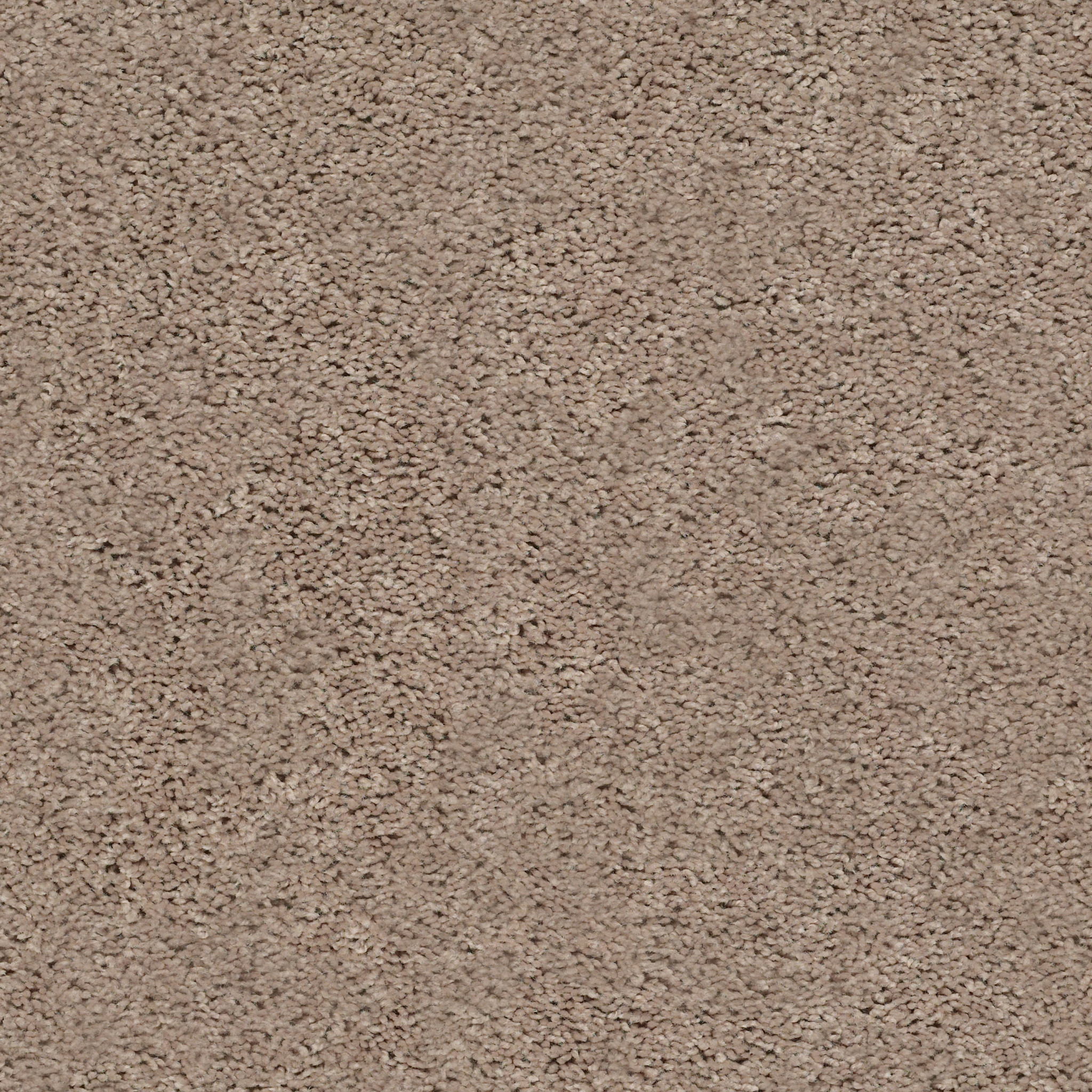 Graceful Finesse-Warm Sand-HGR23_00106