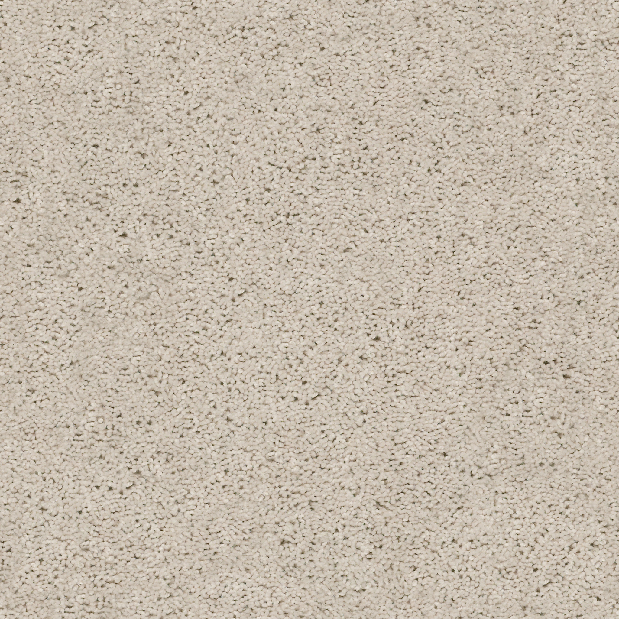 Graceful Finesse-Winter White-HGR23_00110