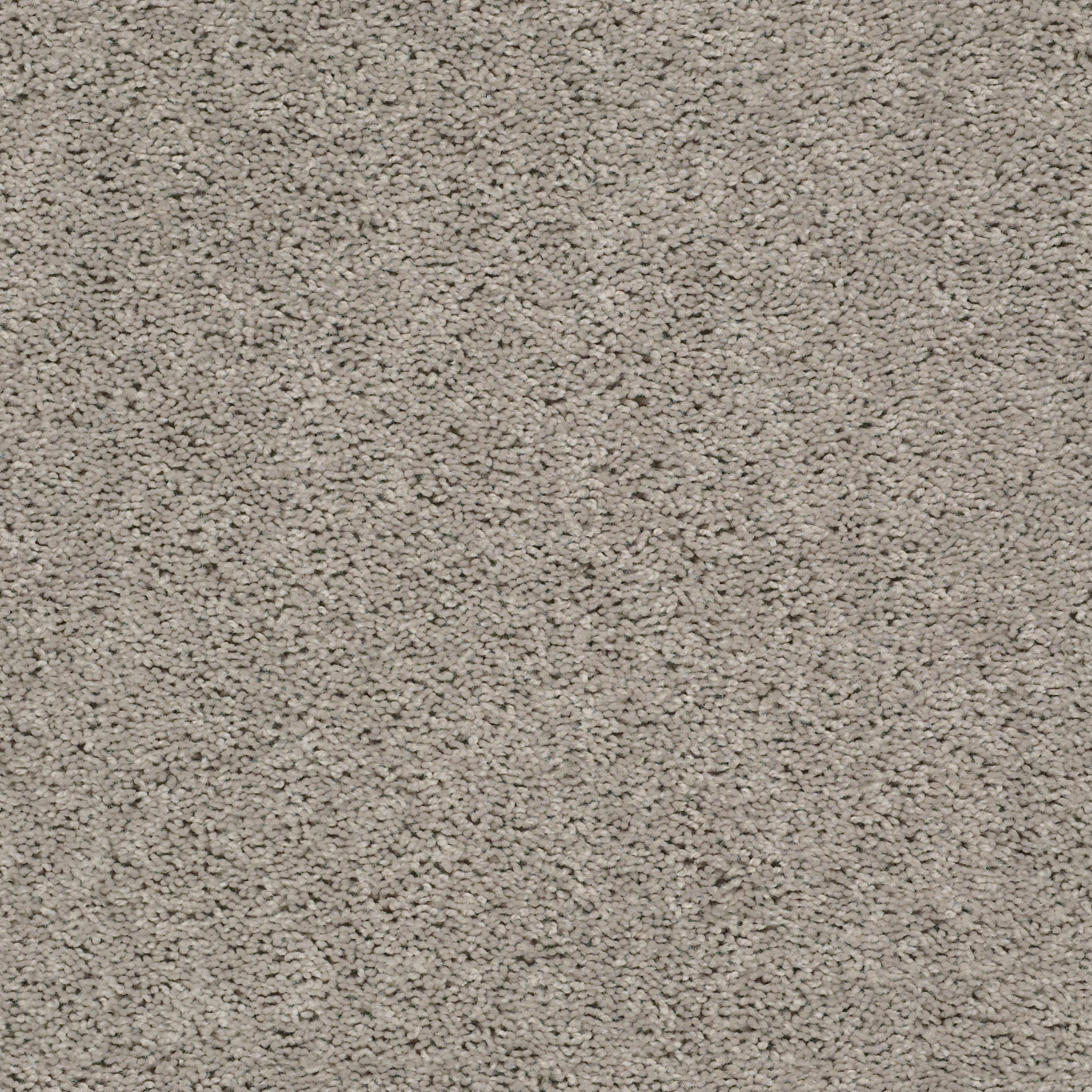 Graceful Finesse-Whisper-HGR23_00112