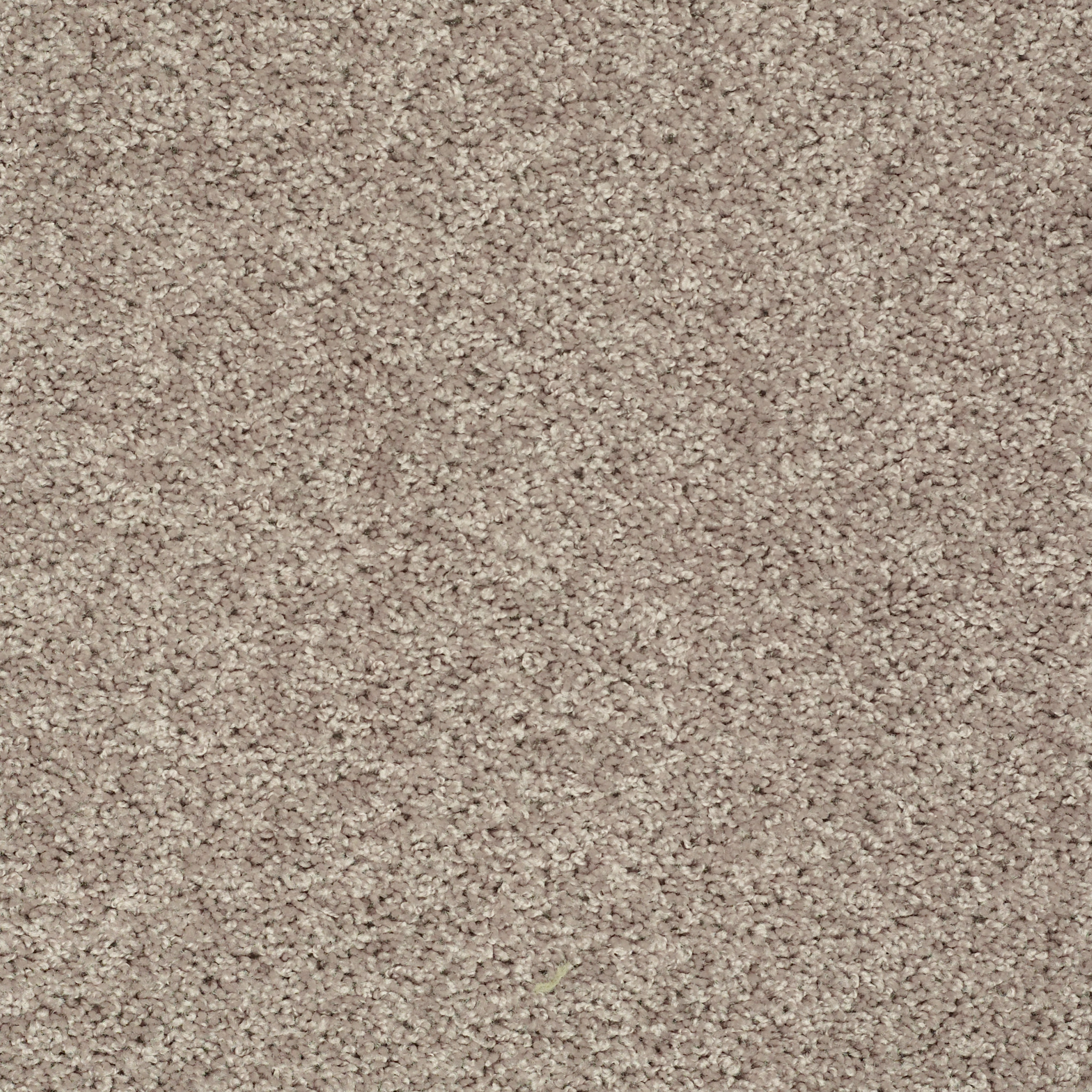 Graceful Finesse-Soft Taupe-HGR23_00501
