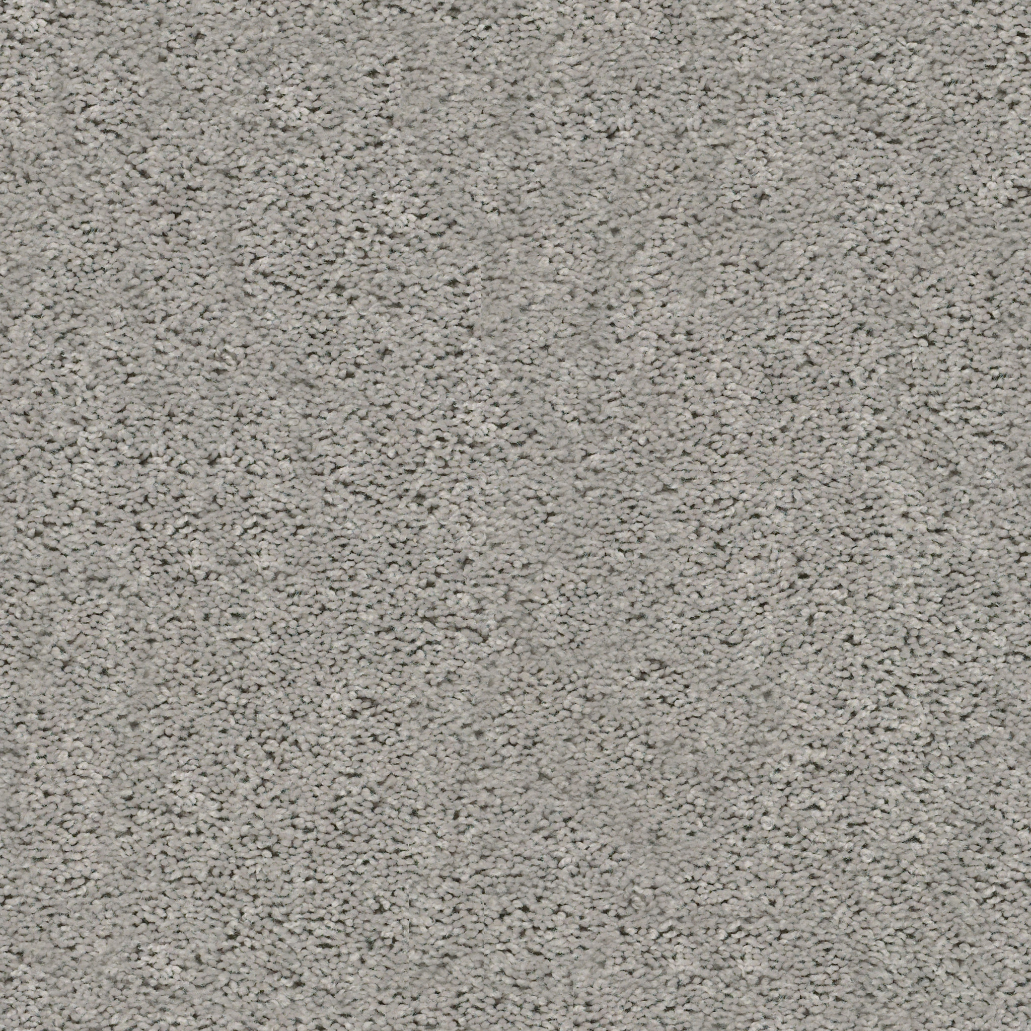 Graceful Finesse-Concrete-HGR23_00510