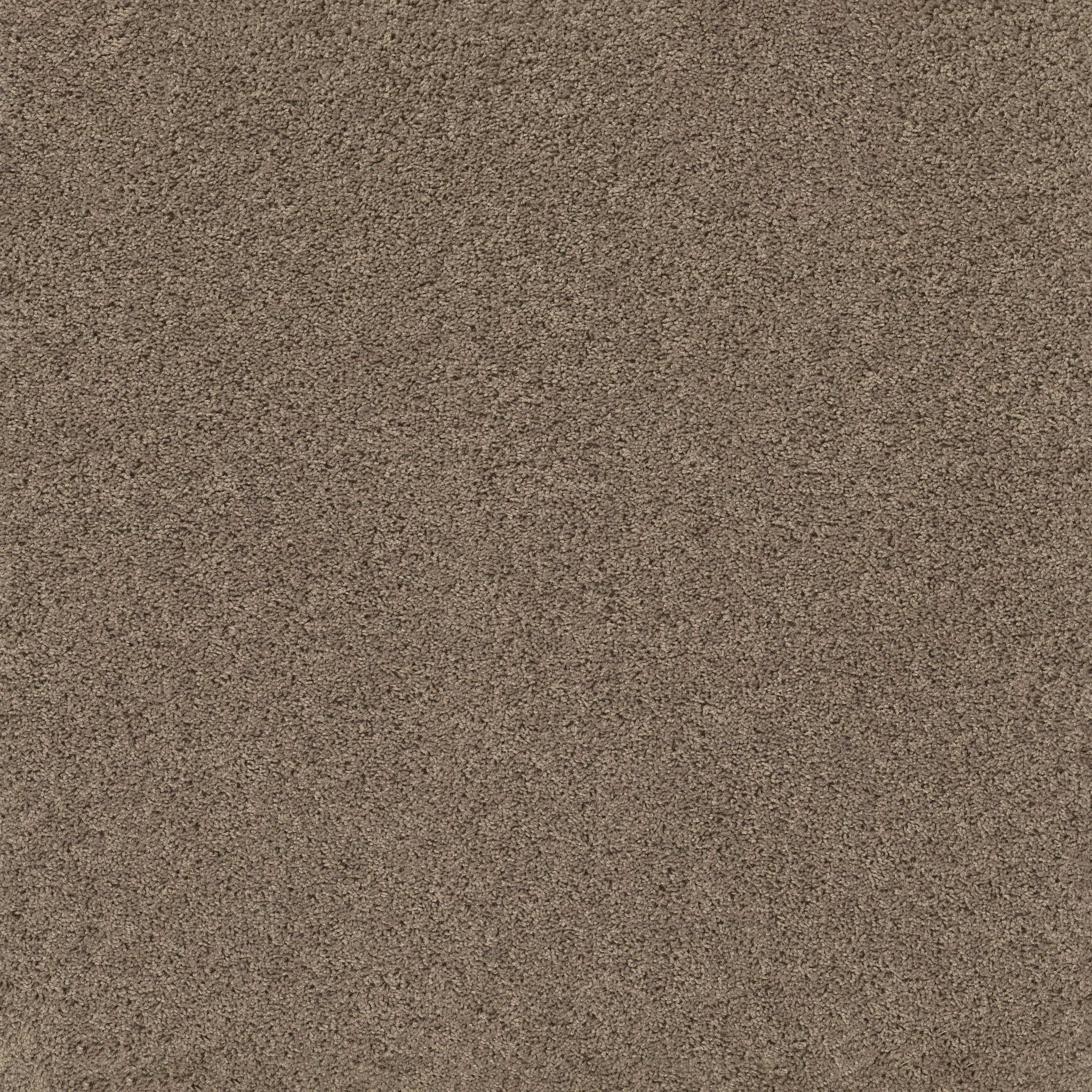 Graceful Finesse-Natural Tan-HGR23_00700