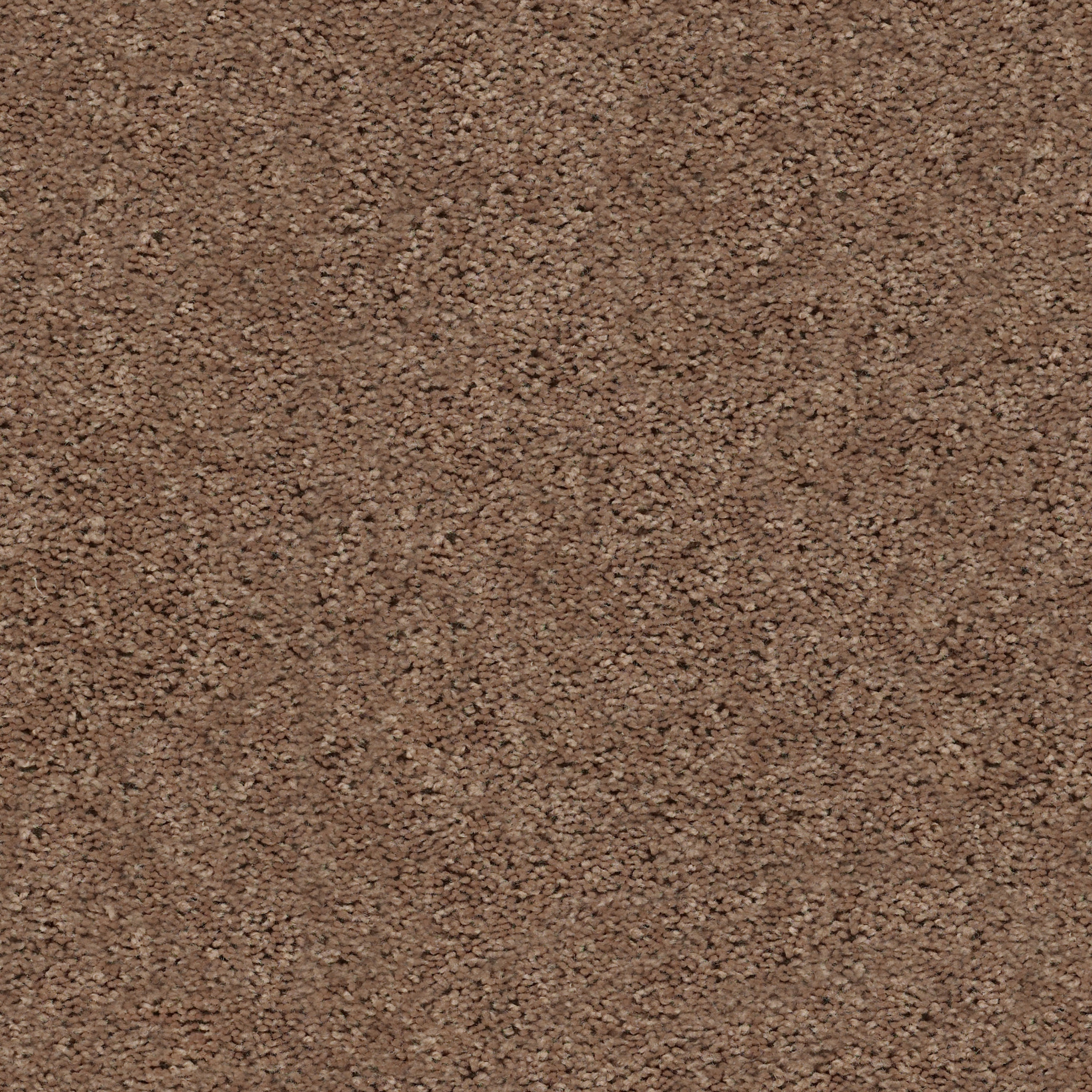 Graceful Finesse-Clay-HGR23_00701