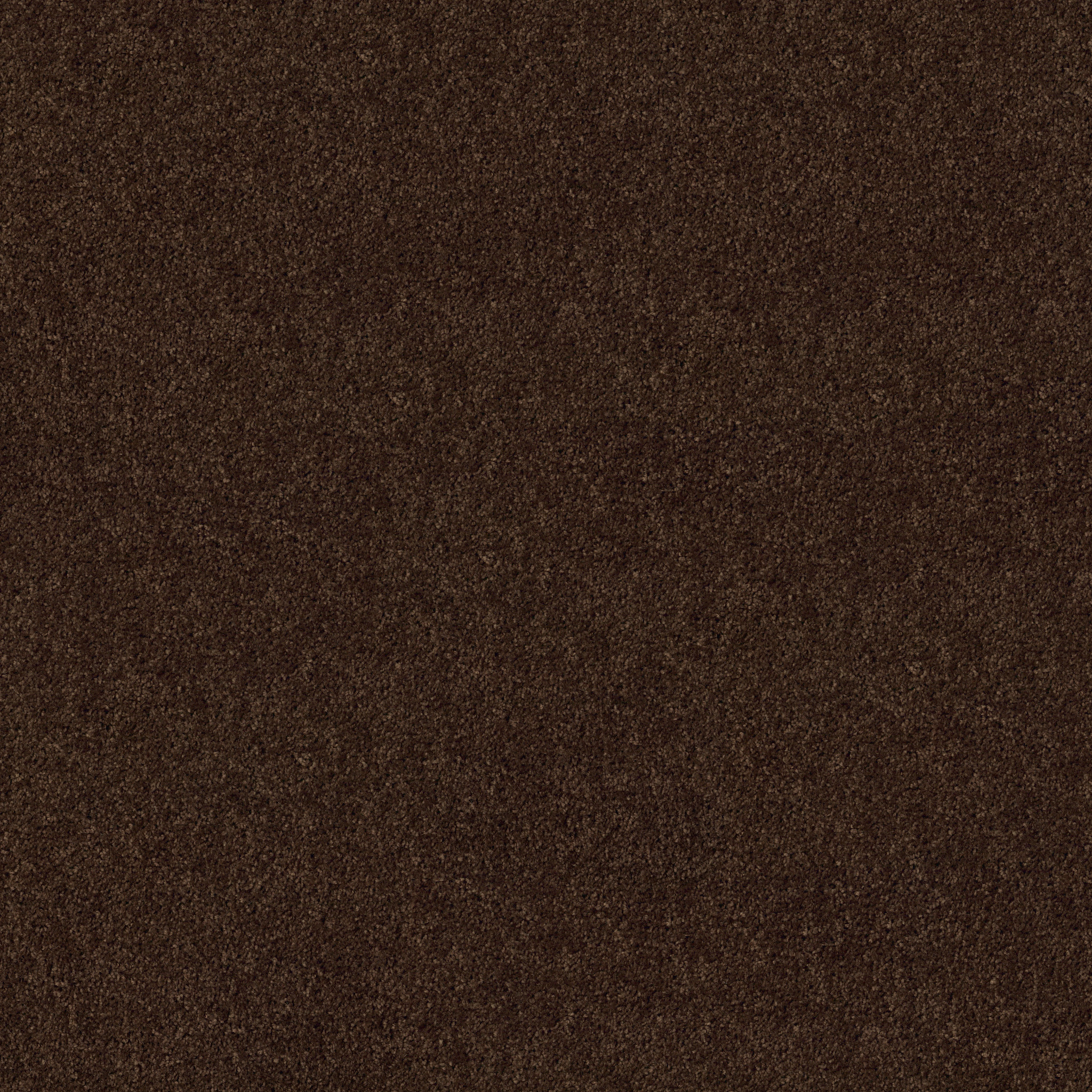 Graceful Finesse-Coffee Bean-HGR23_00705