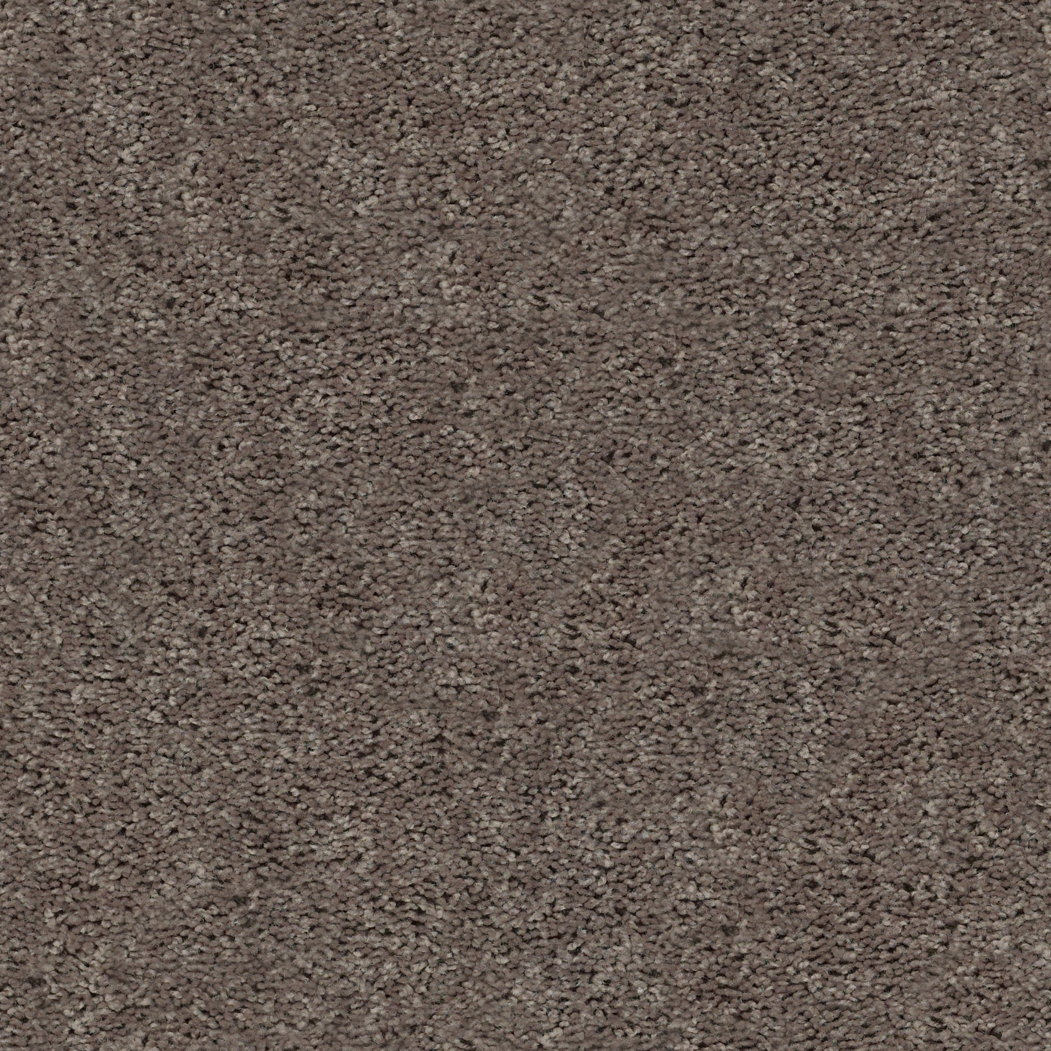 Graceful Finesse - Weathered Wood - HGR23_00710