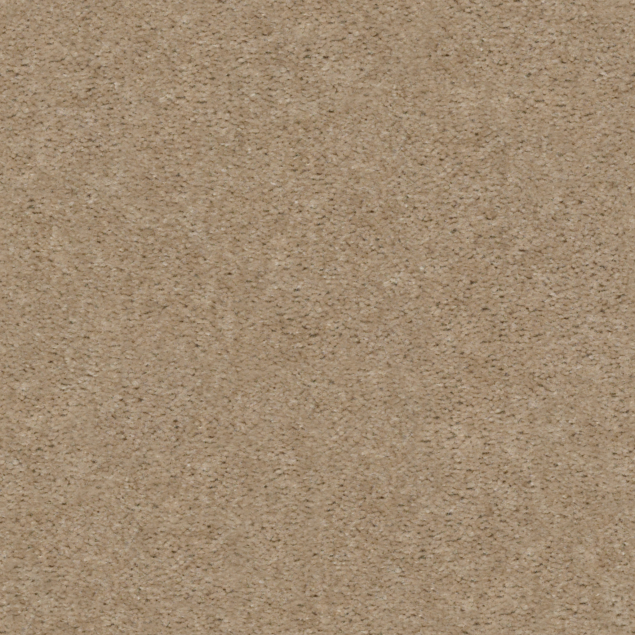 Union Terrace HGR25 00101 | Shaw Builder Flooring