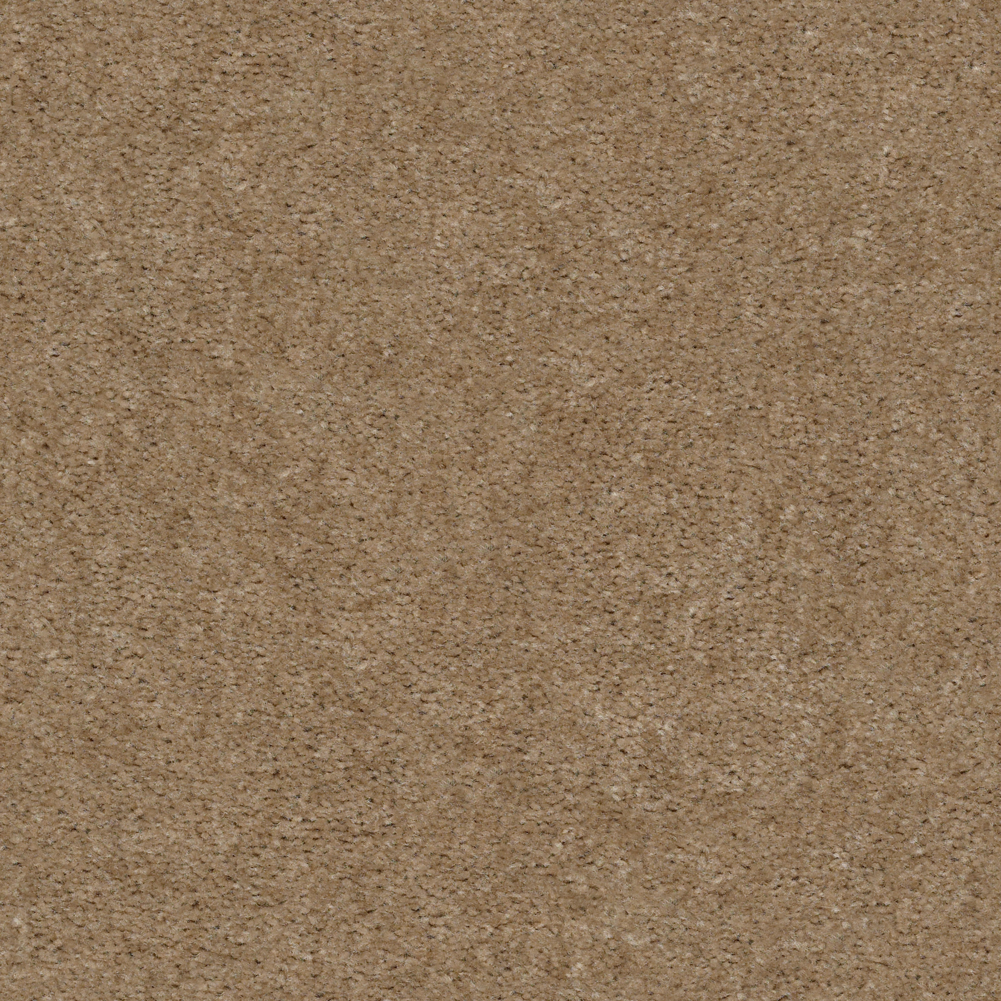 Union Terrace-Clay-HGR25_00701