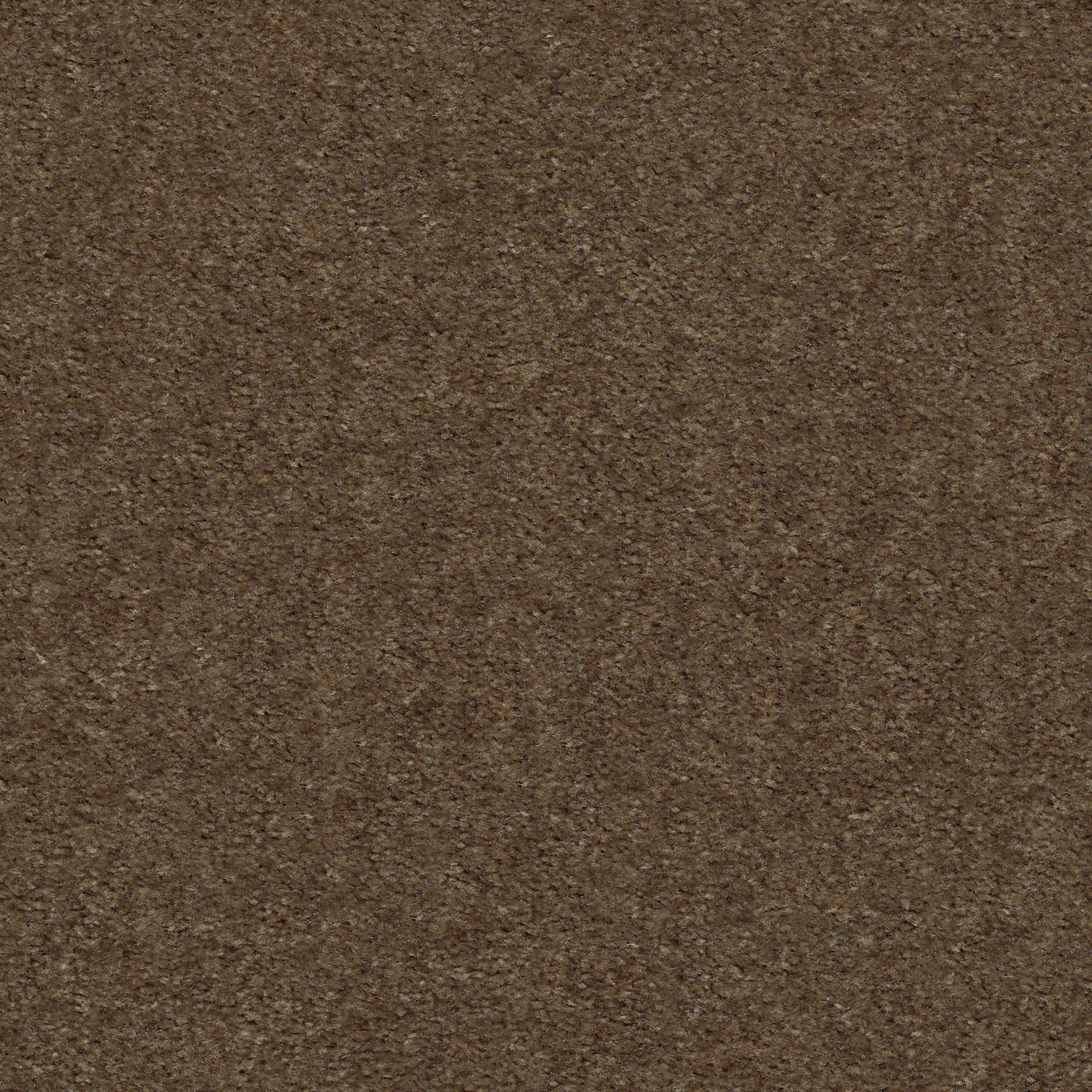 Union Terrace-Toffee-HGR25_00753