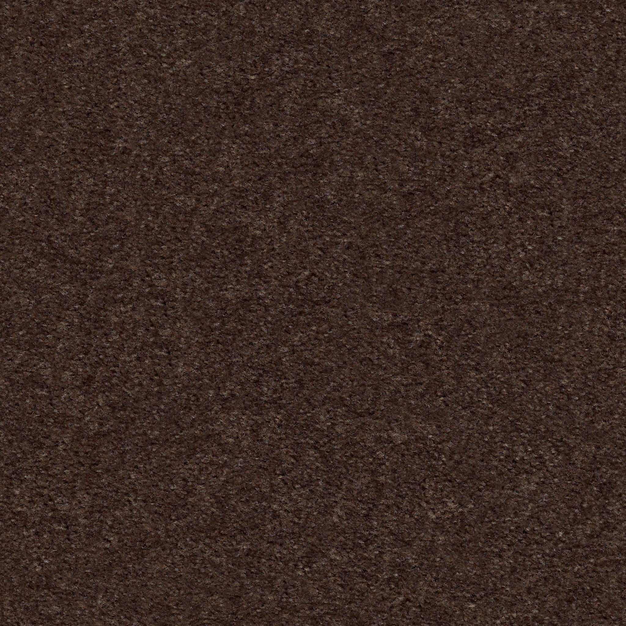 Union Terrace-Truffle-HGR25_00792