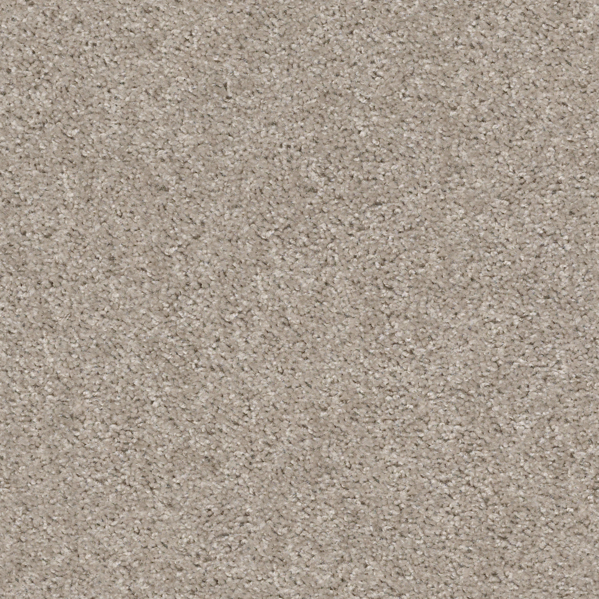 Santa Rosa Way-Quiet Moment-HGR26_00191