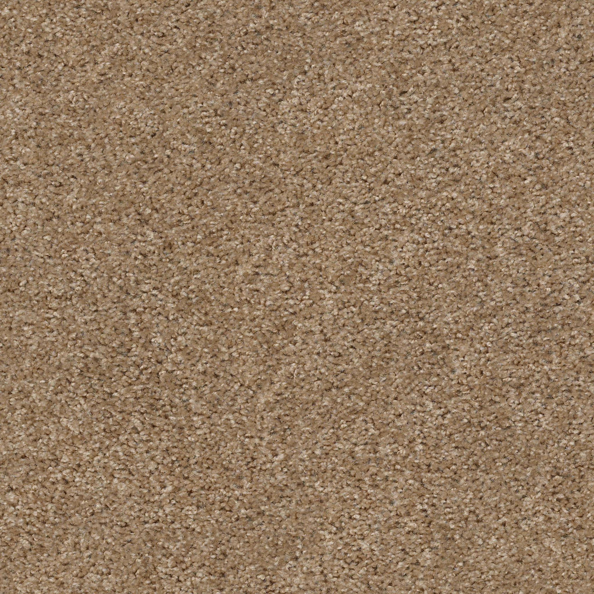 Santa Rosa Way-Lighthouse-HGR26_00720