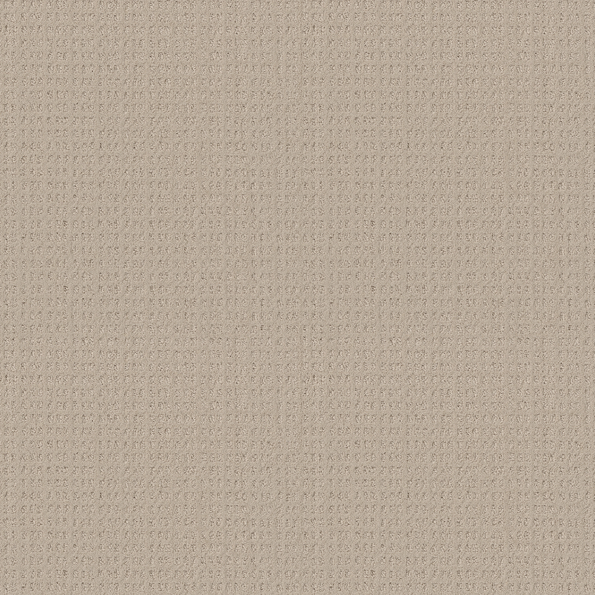 Awaken - Butter Cream - HGR48_00107