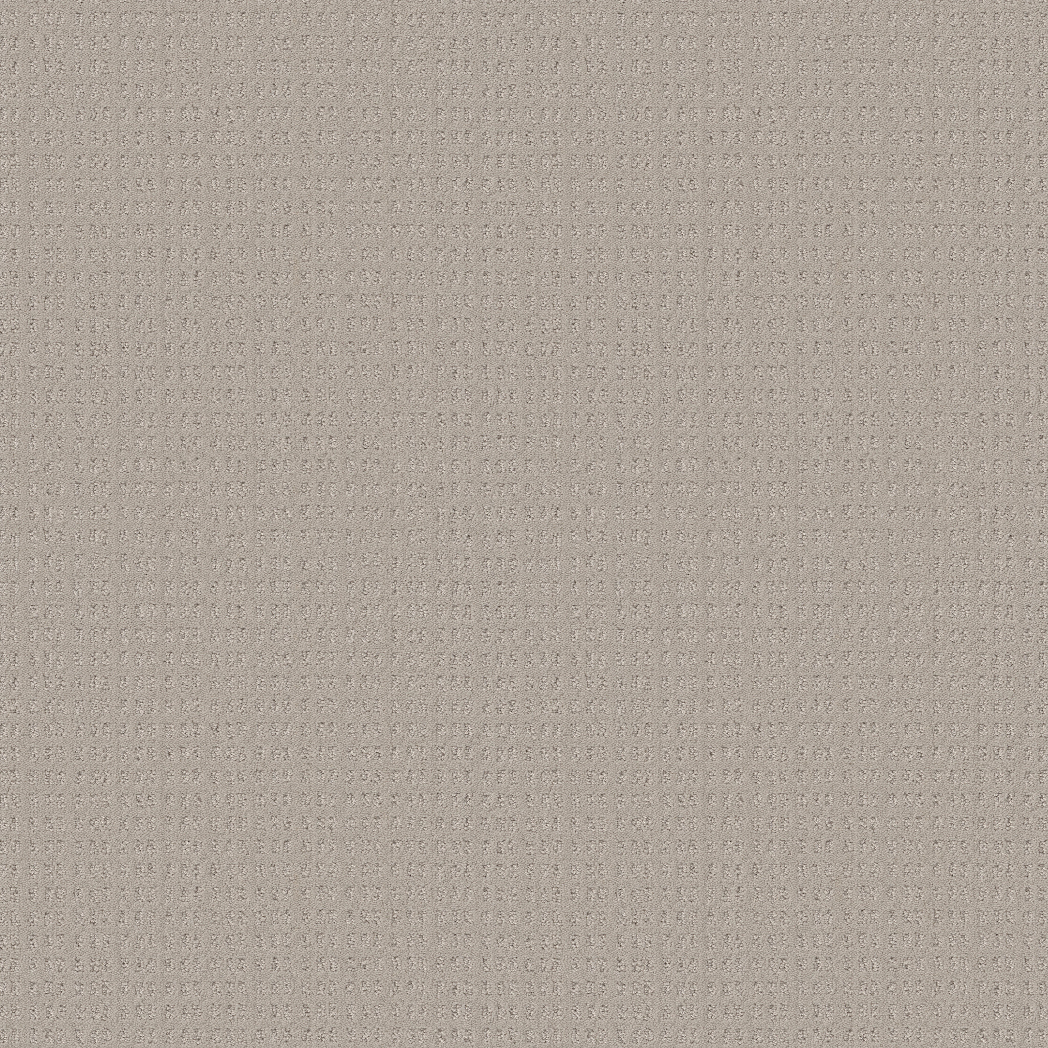 Awaken - Fossil Path - HGR48_00108