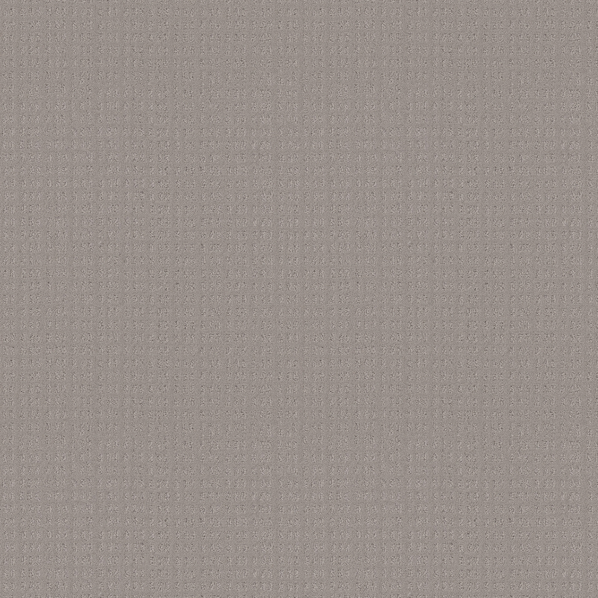 Awaken - Newstone Haven - HGR48_00502