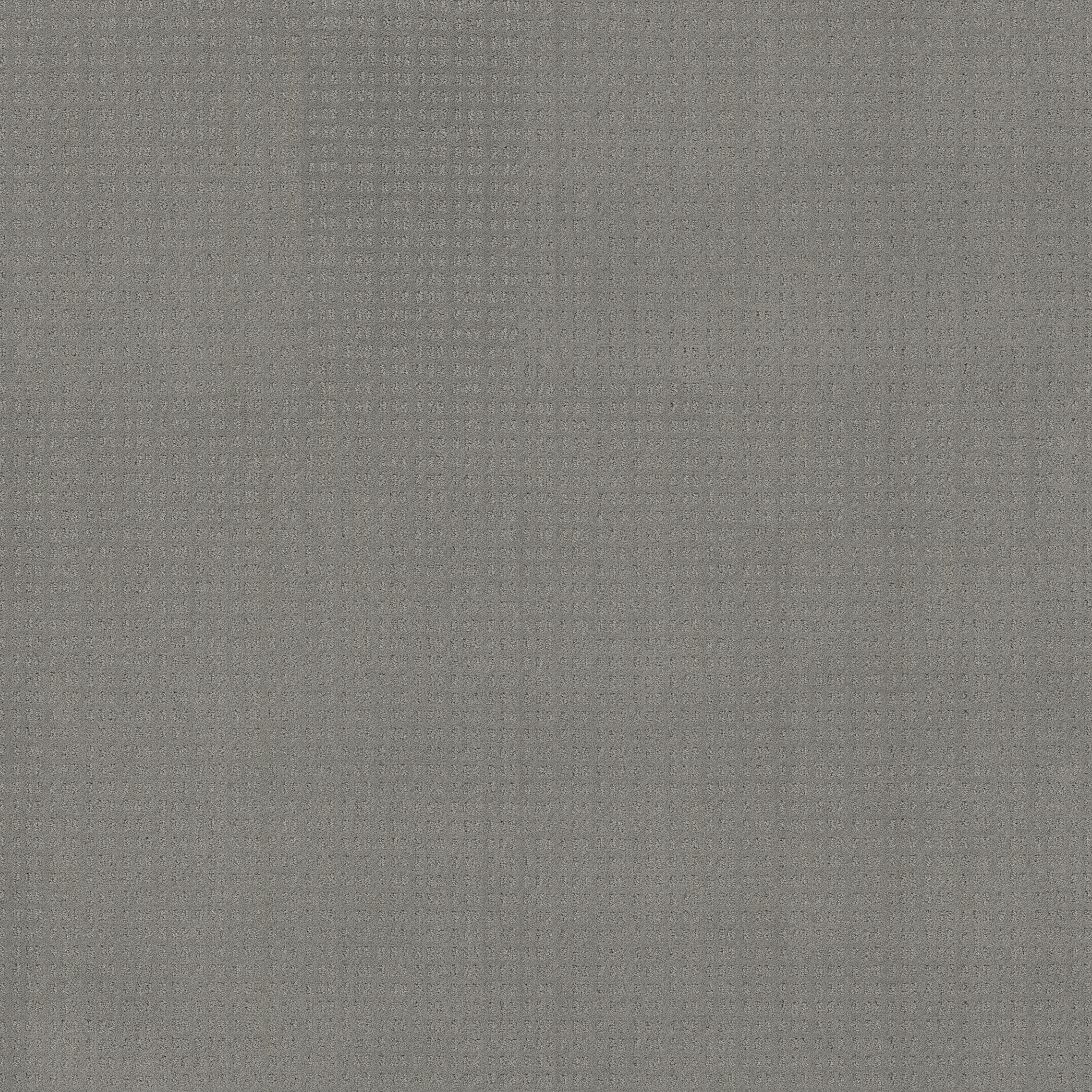 Awaken-Grey Fox-HGR48_00504