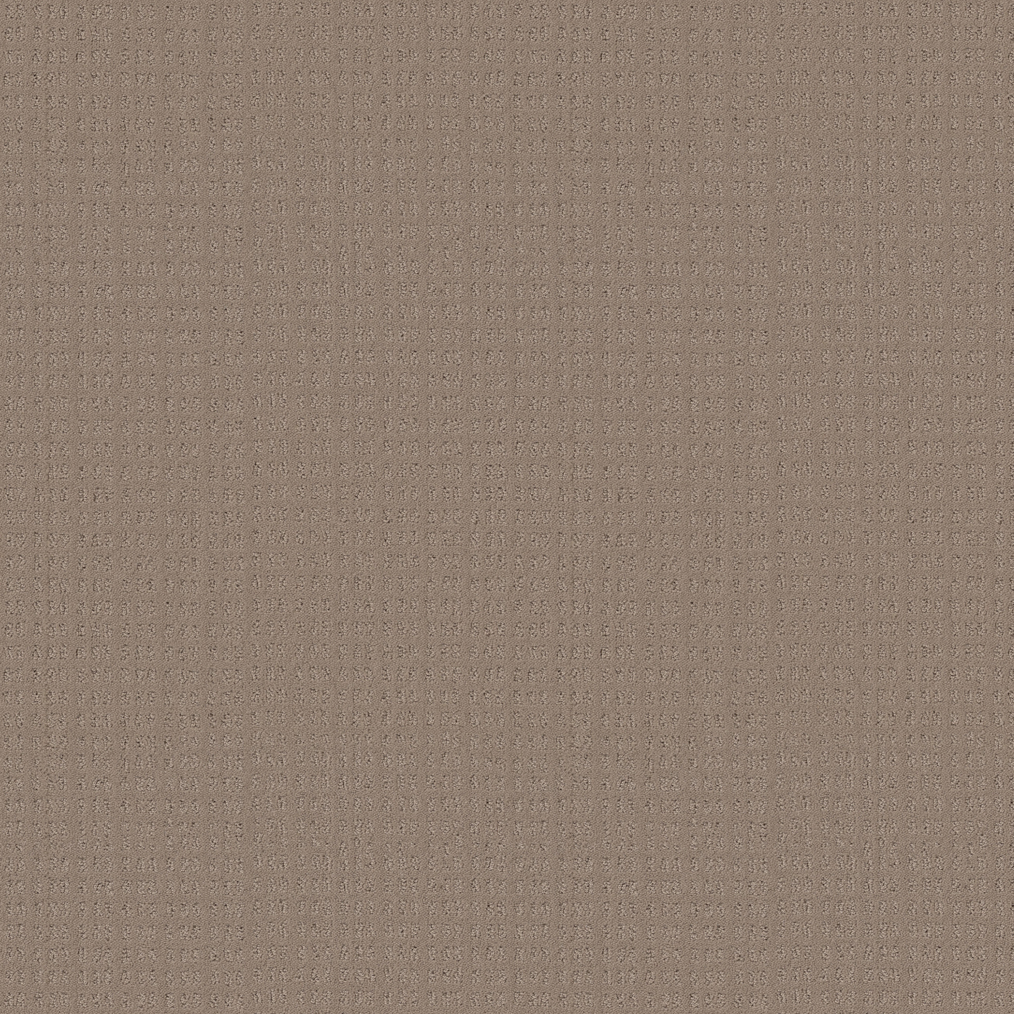 Awaken - Desert View - HGR48_00701